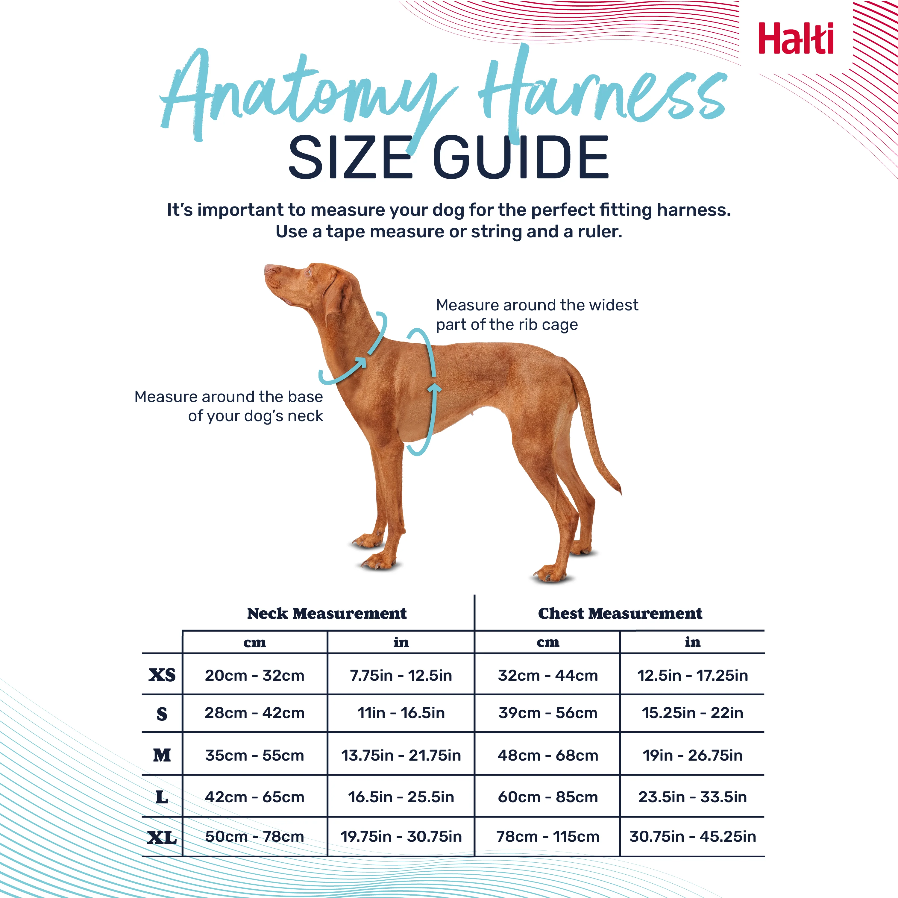 Halti Anatomy Dog Harness - Magenta - Image 6