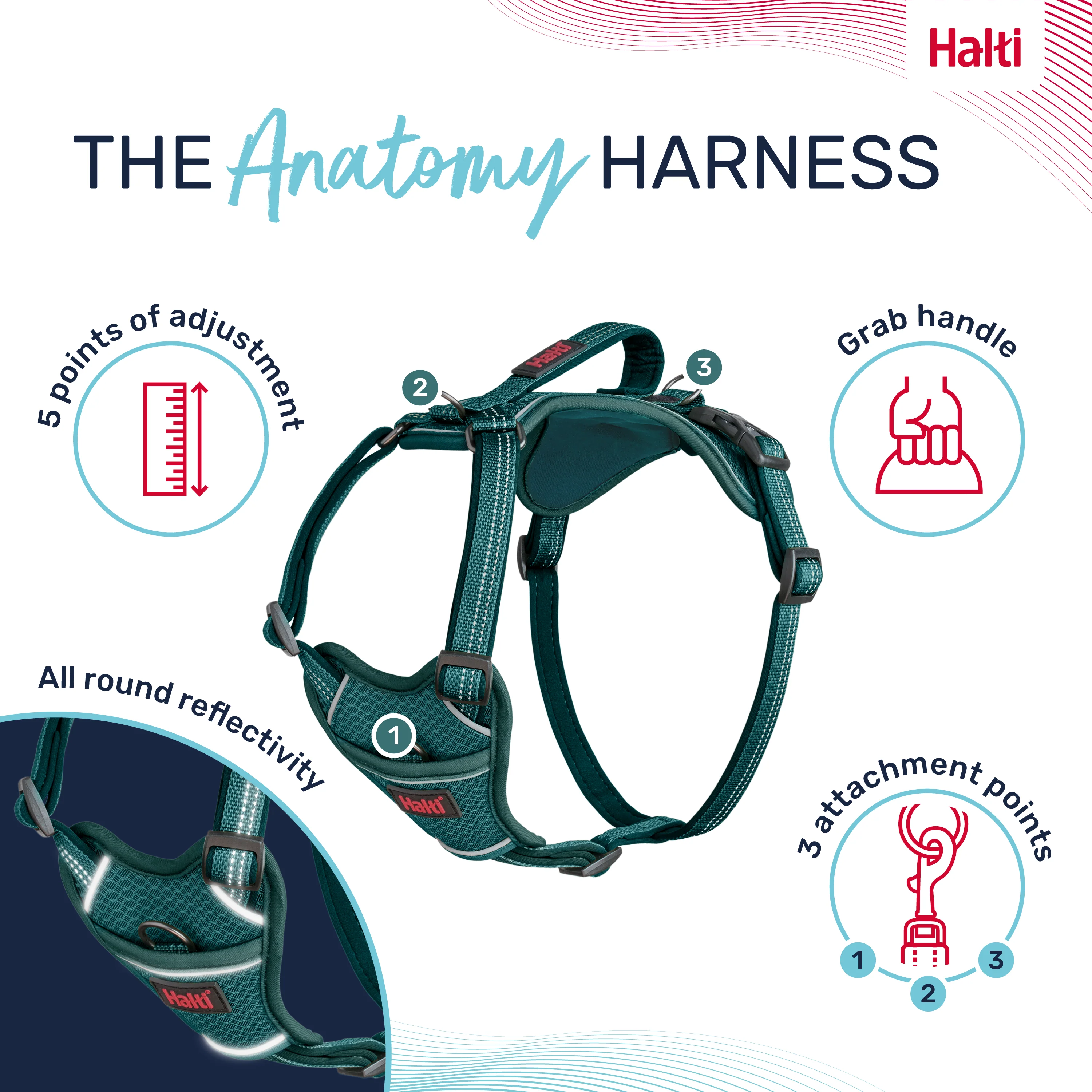 Halti Anatomy Dog Harness - Teal - Image 2