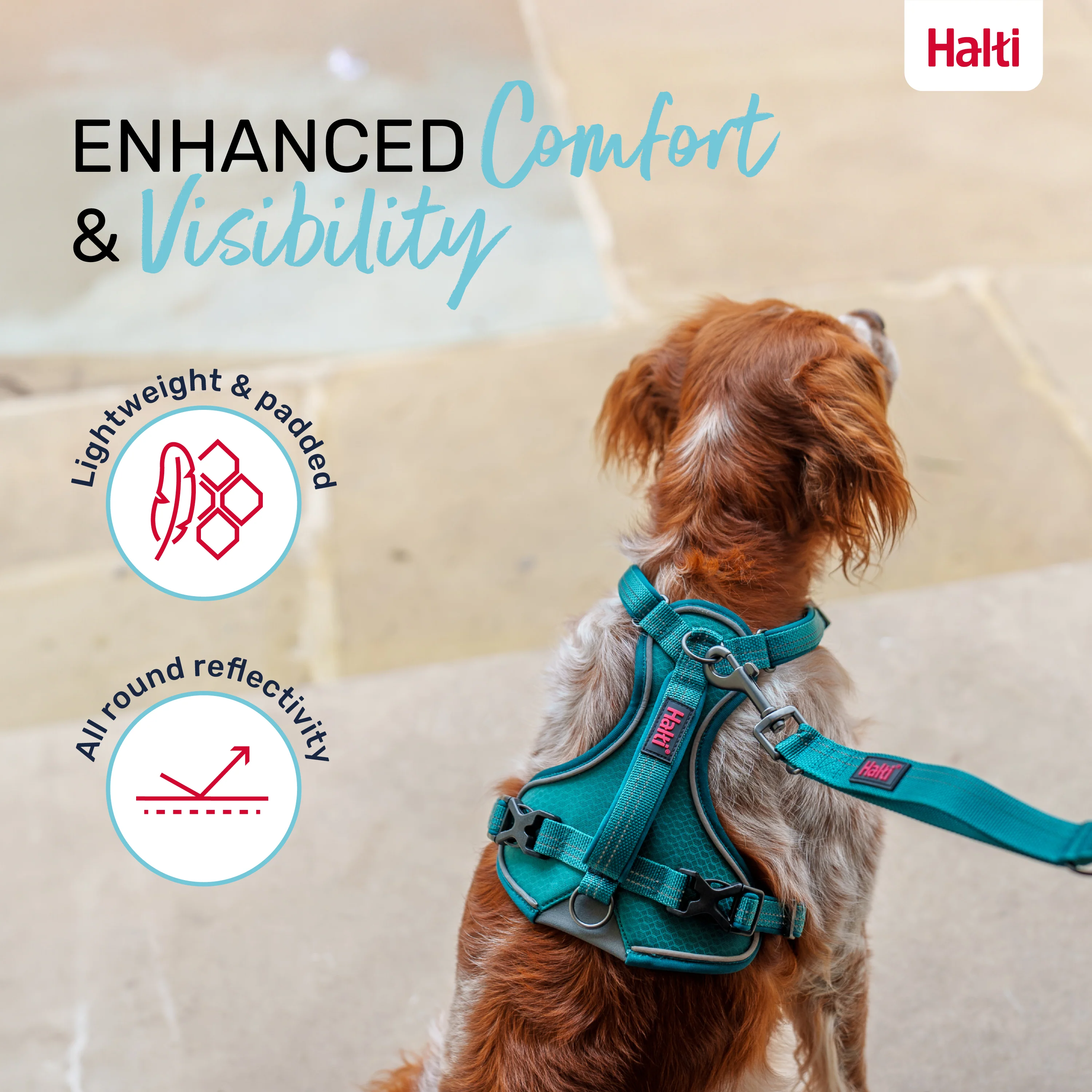 Halti Anatomy Dog Harness - Teal - Image 4