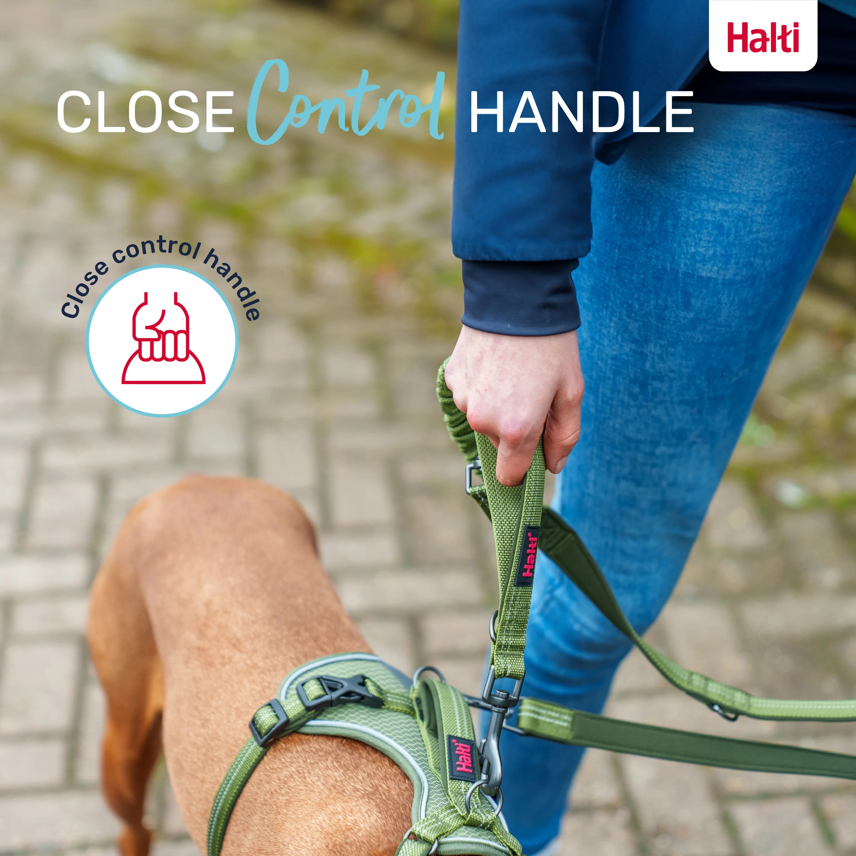 Halti Anatomy Multi Dog Lead - Magenta - Image 5