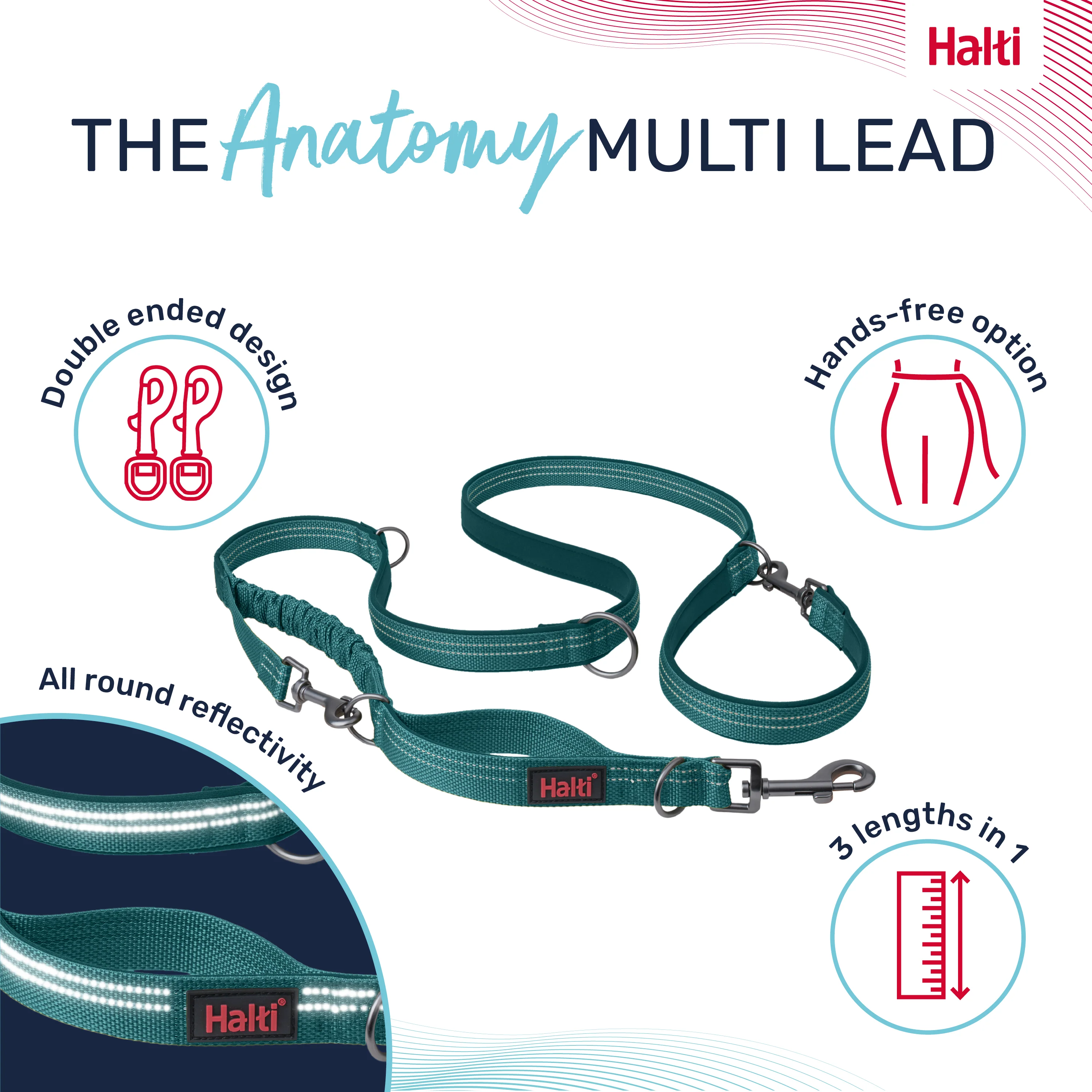 Halti Anatomy Multi Dog Lead - Teal - Image 2