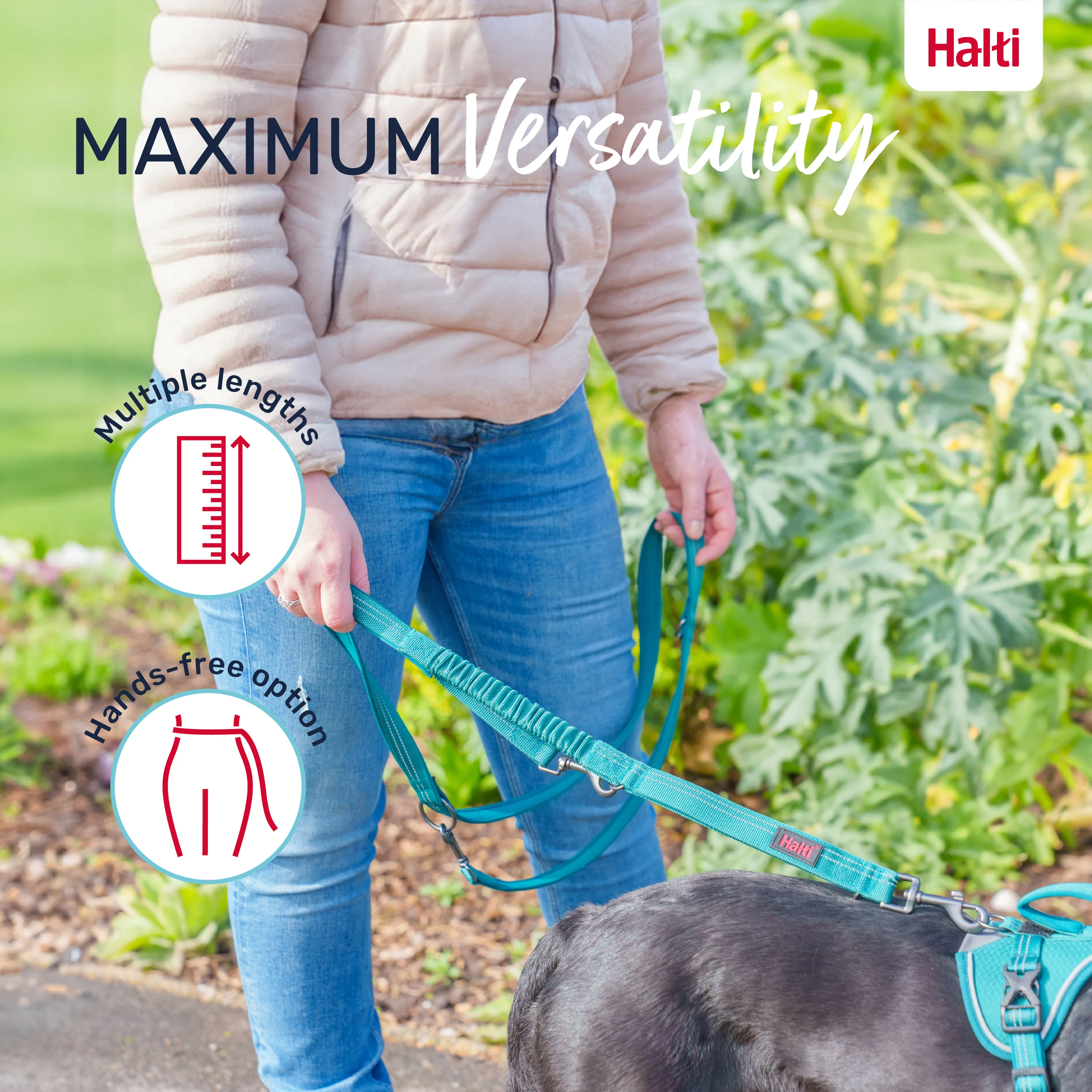 Halti Anatomy Multi Dog Lead - Teal - Image 4