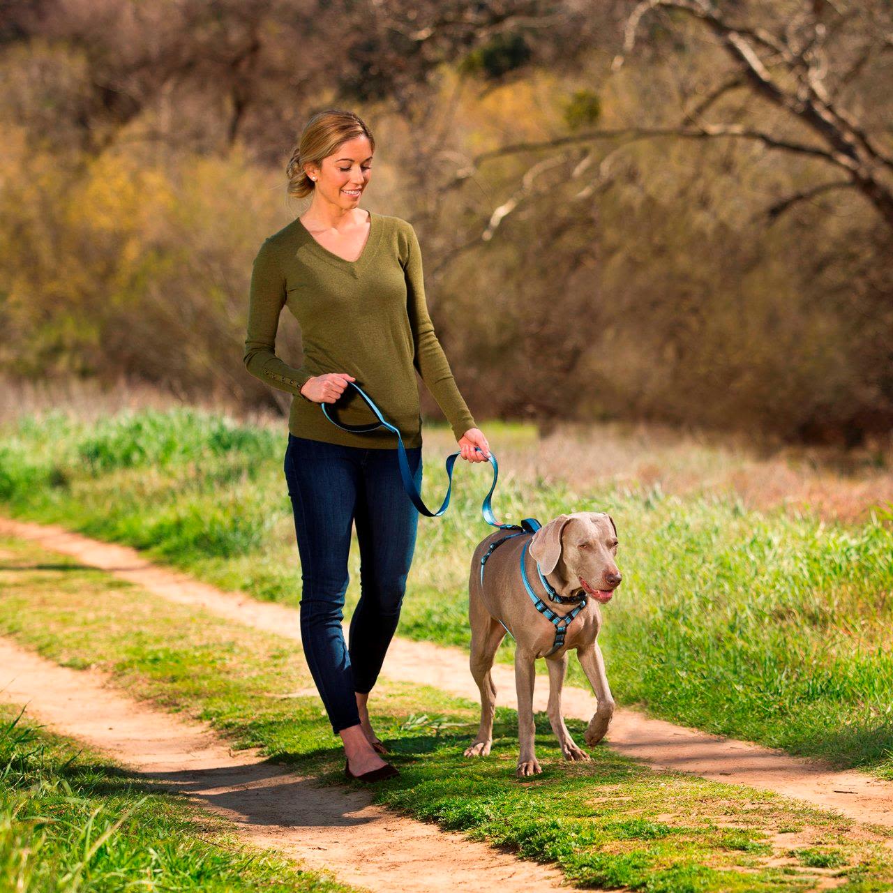 Halti Black Dog Walking Harness - Image 2