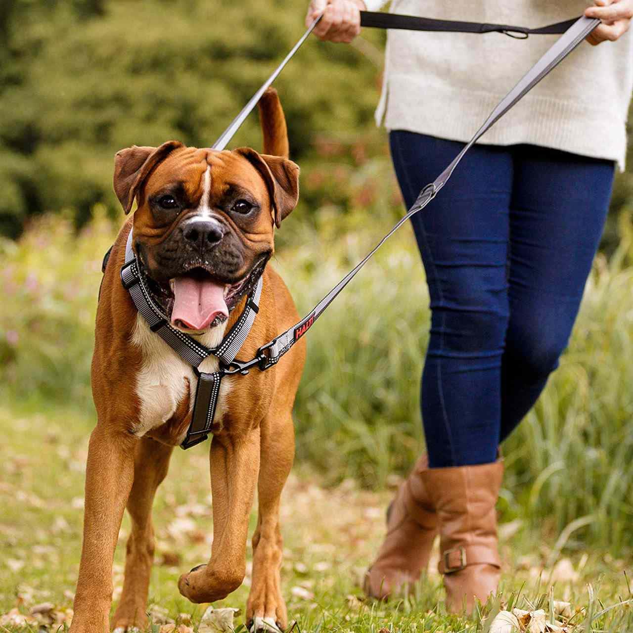 Halti Double Ended Dog Lead Black - Image 2