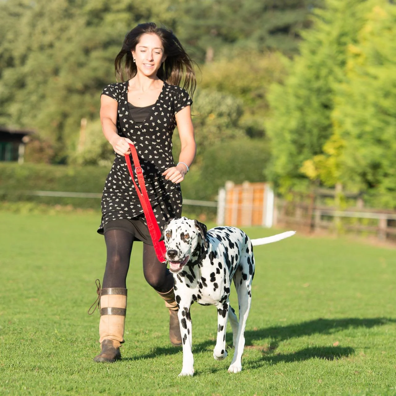 Halti Multifunctional Training Dog Lead in Red - Image 5