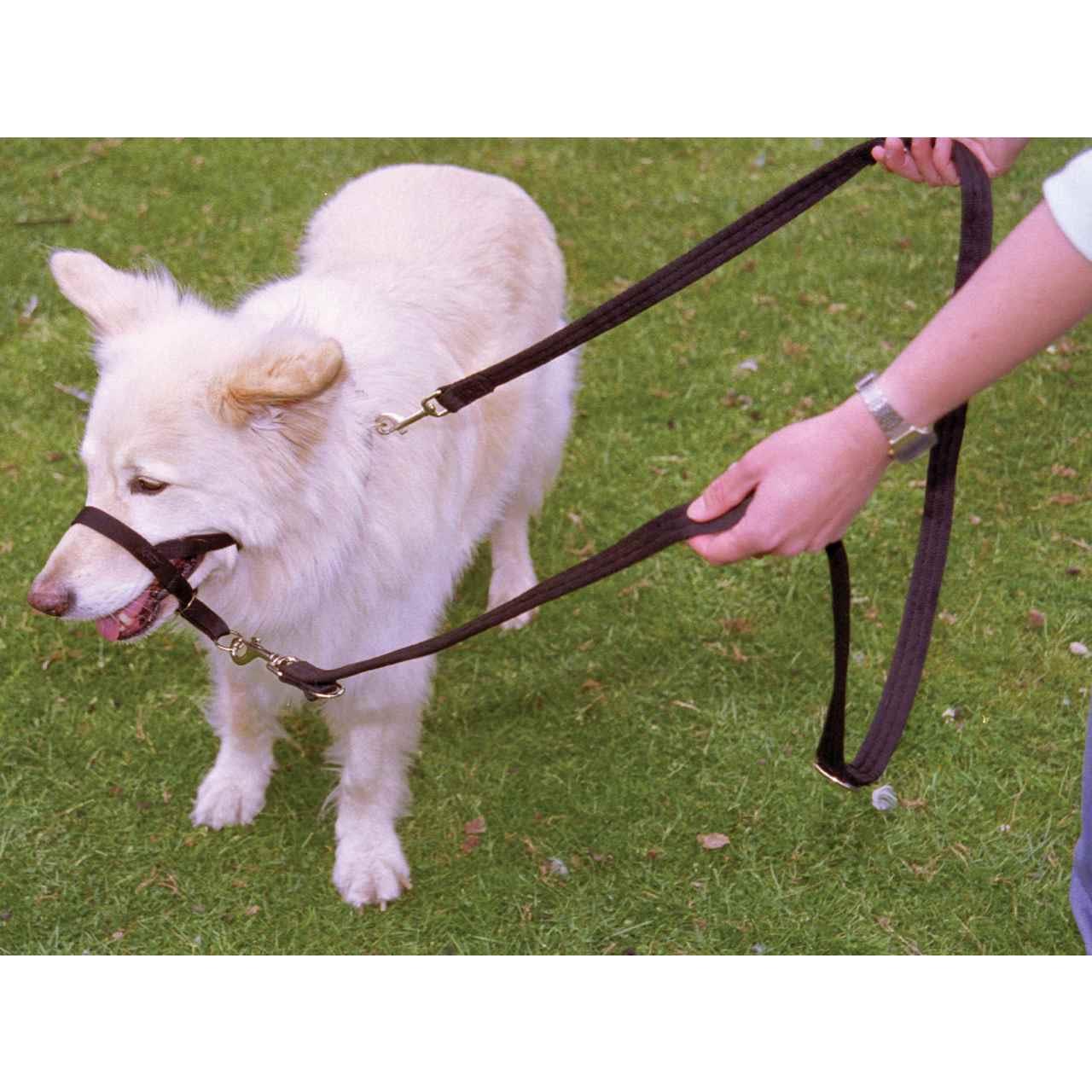 Halti Multifunctional Training Dog Lead in Red - Image 6
