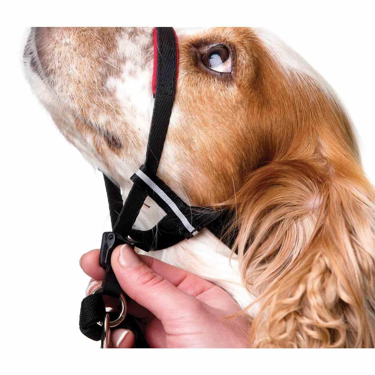 Halti Optifit - Image 4