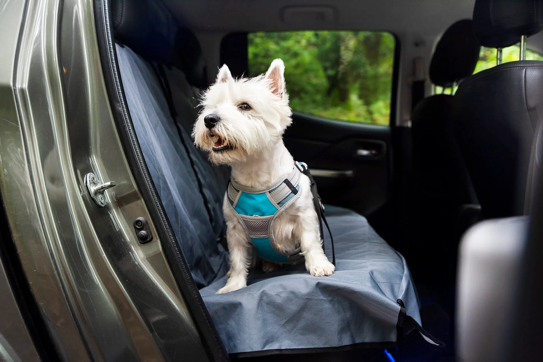 Henry Wag Blue/Grey Dog Travel Harness - Image 4