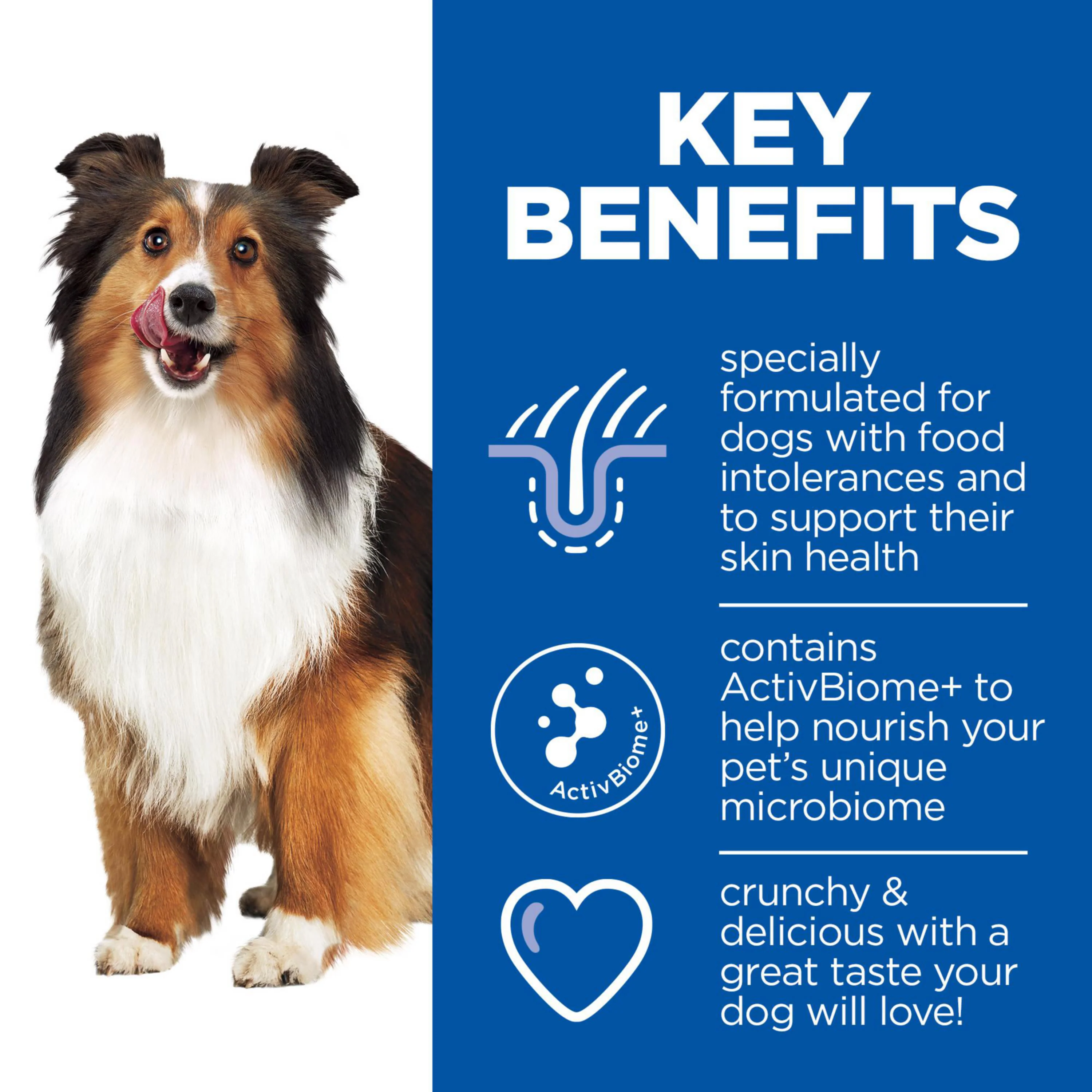 Hill's Hypoallergenic Adult Dog Treats - Image 9