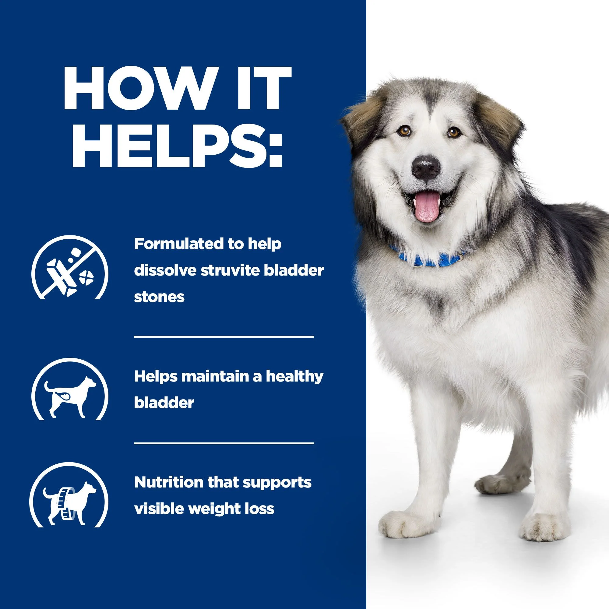 Hill's Prescription Diet c/d Multicare Metabolic + Urinary Care Adult/Senior Dry Dog Food - Original - Image 4