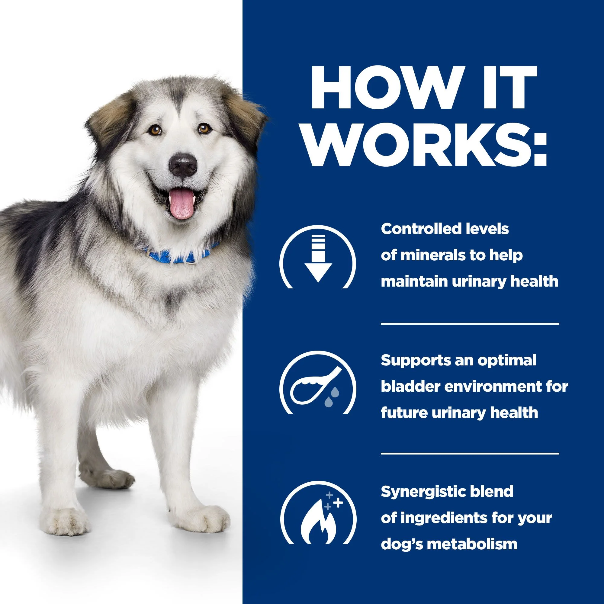 Hill's Prescription Diet c/d Multicare Metabolic + Urinary Care Adult/Senior Dry Dog Food - Original - Image 5