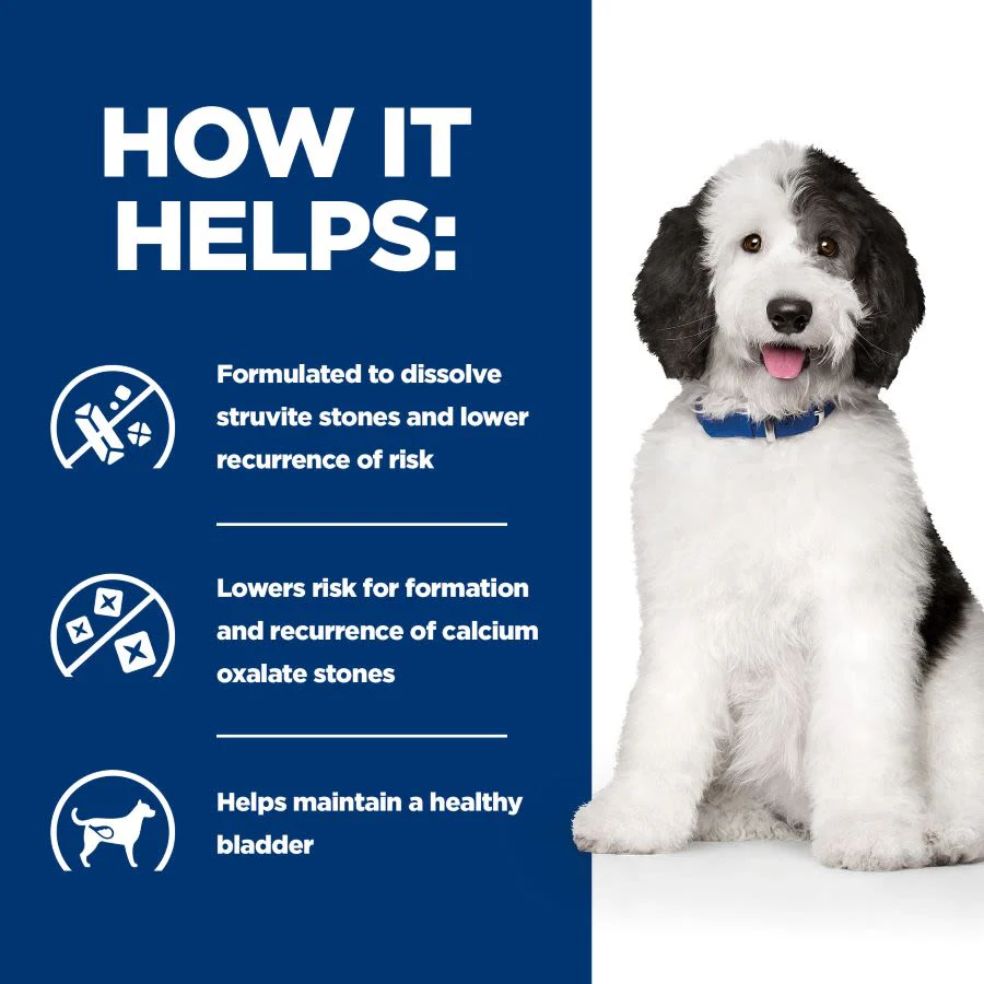 Hill's Prescription Diet c/d Urinary Care Adult Wet Dog Food - Chicken - Image 6