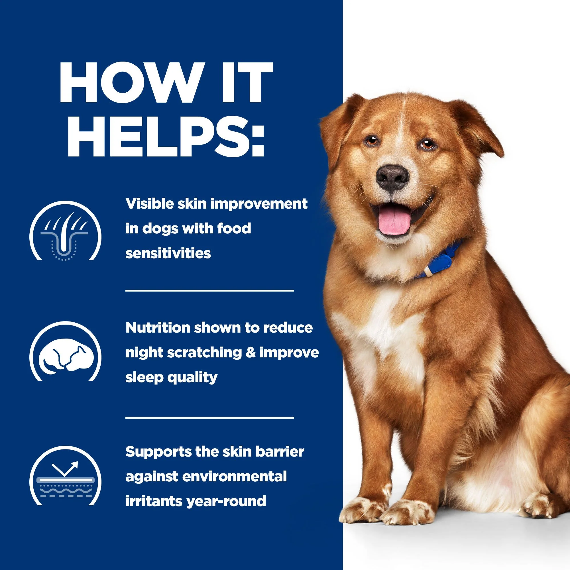 Hill's Prescription Diet Derm Complete Skin Care and Food Sensitivities Adult/Senior Wet Dog Food - Original - Image 4