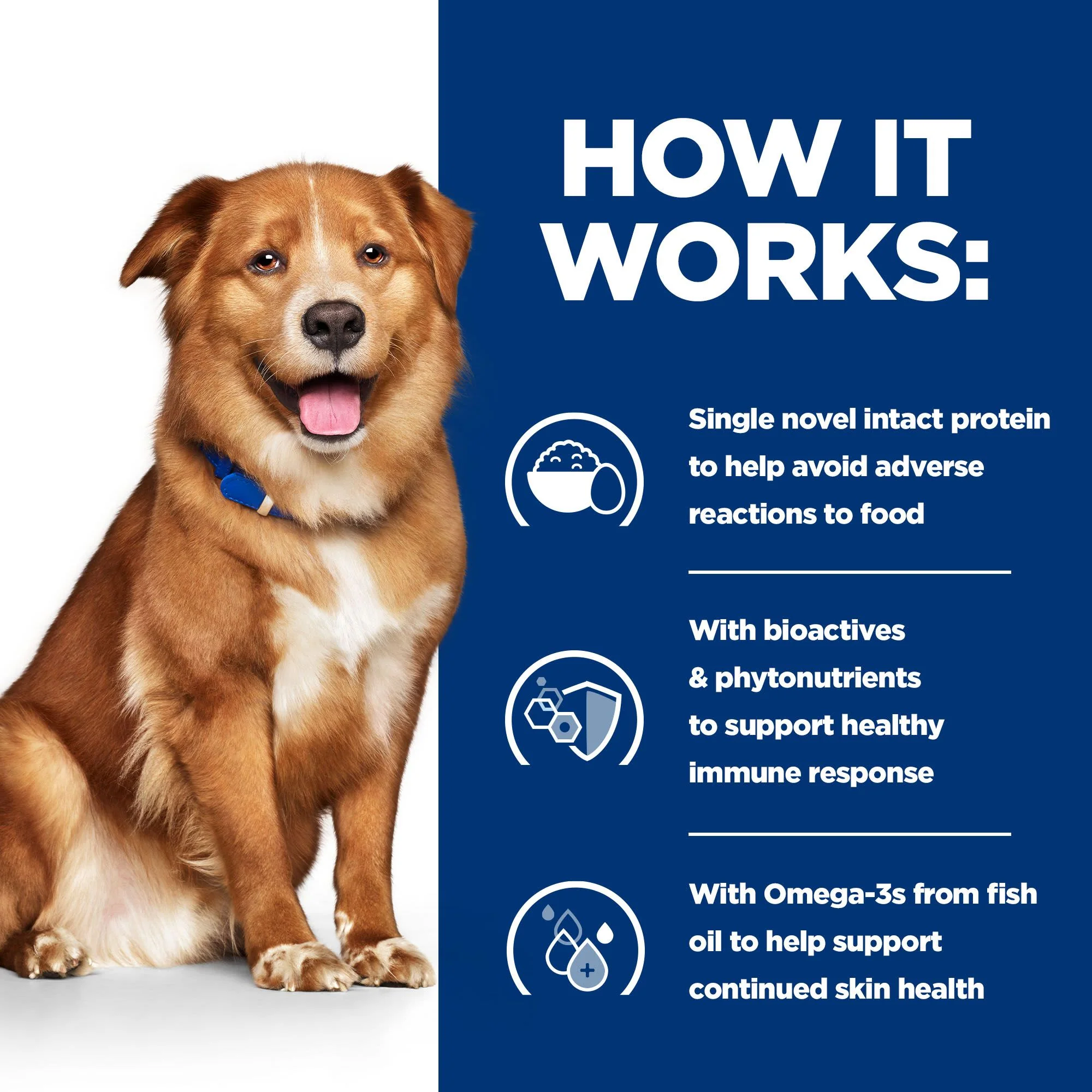 Hill's Prescription Diet Derm Complete Skin Care and Food Sensitivities Adult/Senior Wet Dog Food - Original - Image 5