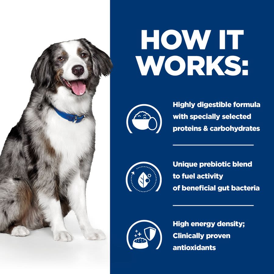 Hill's Prescription Diet Digestive Care i/d Sensitive Dry Dog Food - Egg & Rice - Image 5
