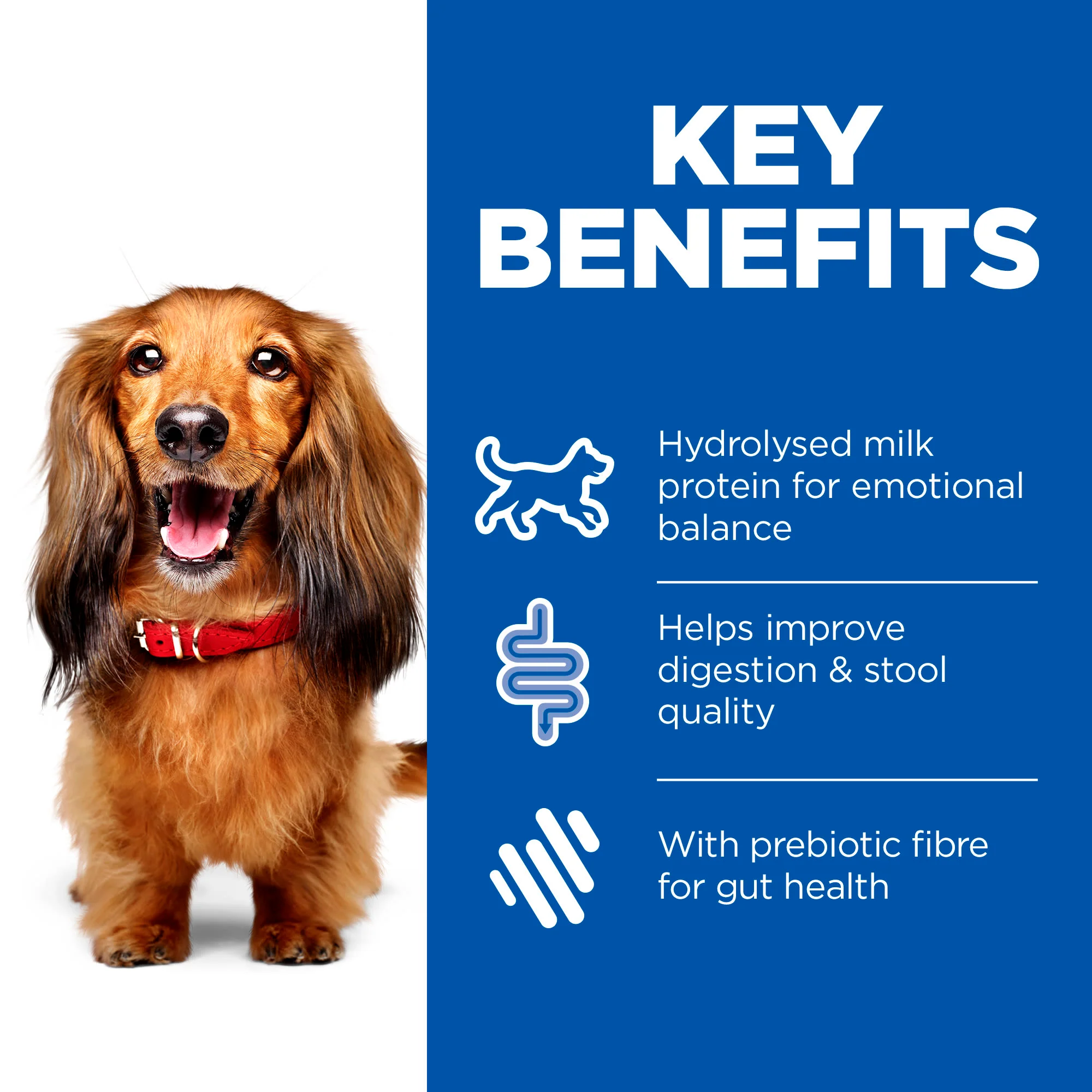 Hill's Prescription Diet Digestive Care i/d Stress Mini Adult Dry Dog Food - Chicken - Image 8