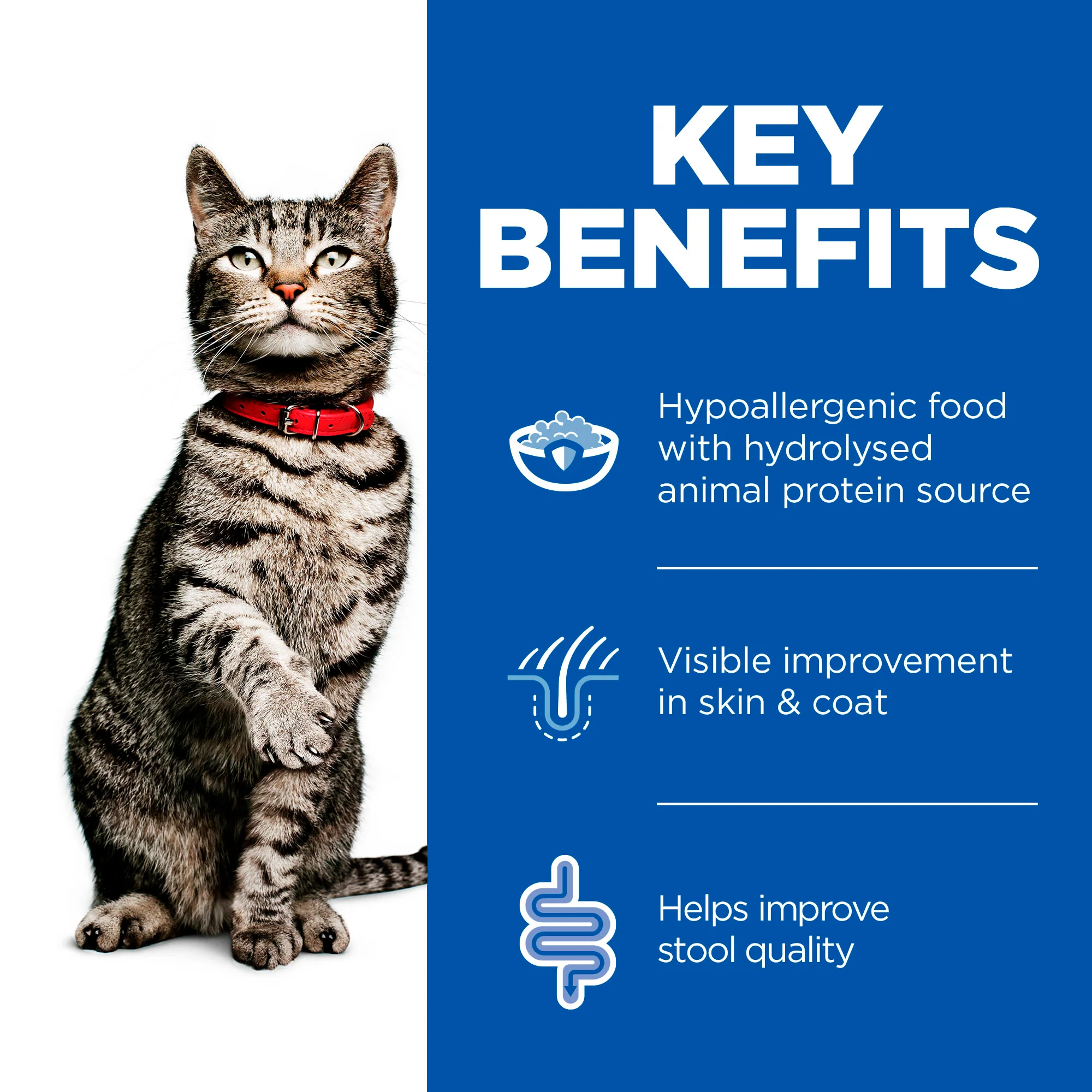 Hill's Prescription Diet Food Sensitivities z/d Adult Dry Cat Food - Original - Image 7