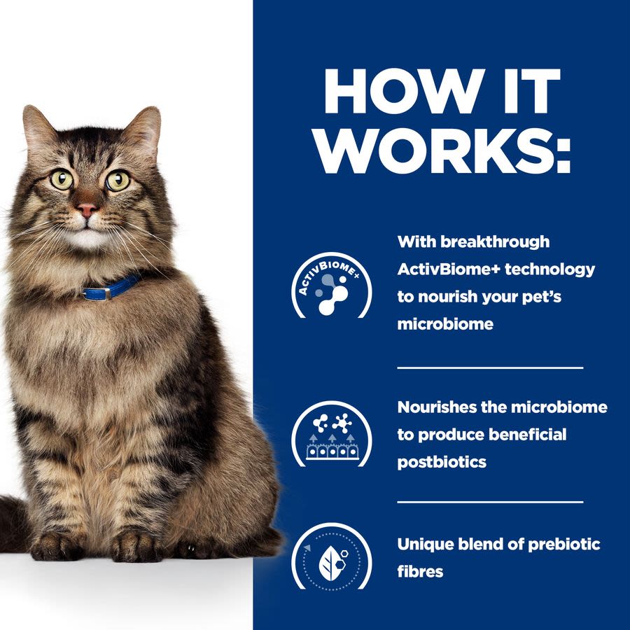 Hill's Prescription Diet Gastrointestinal Biome Dry Cat Food with Chicken - Image 6