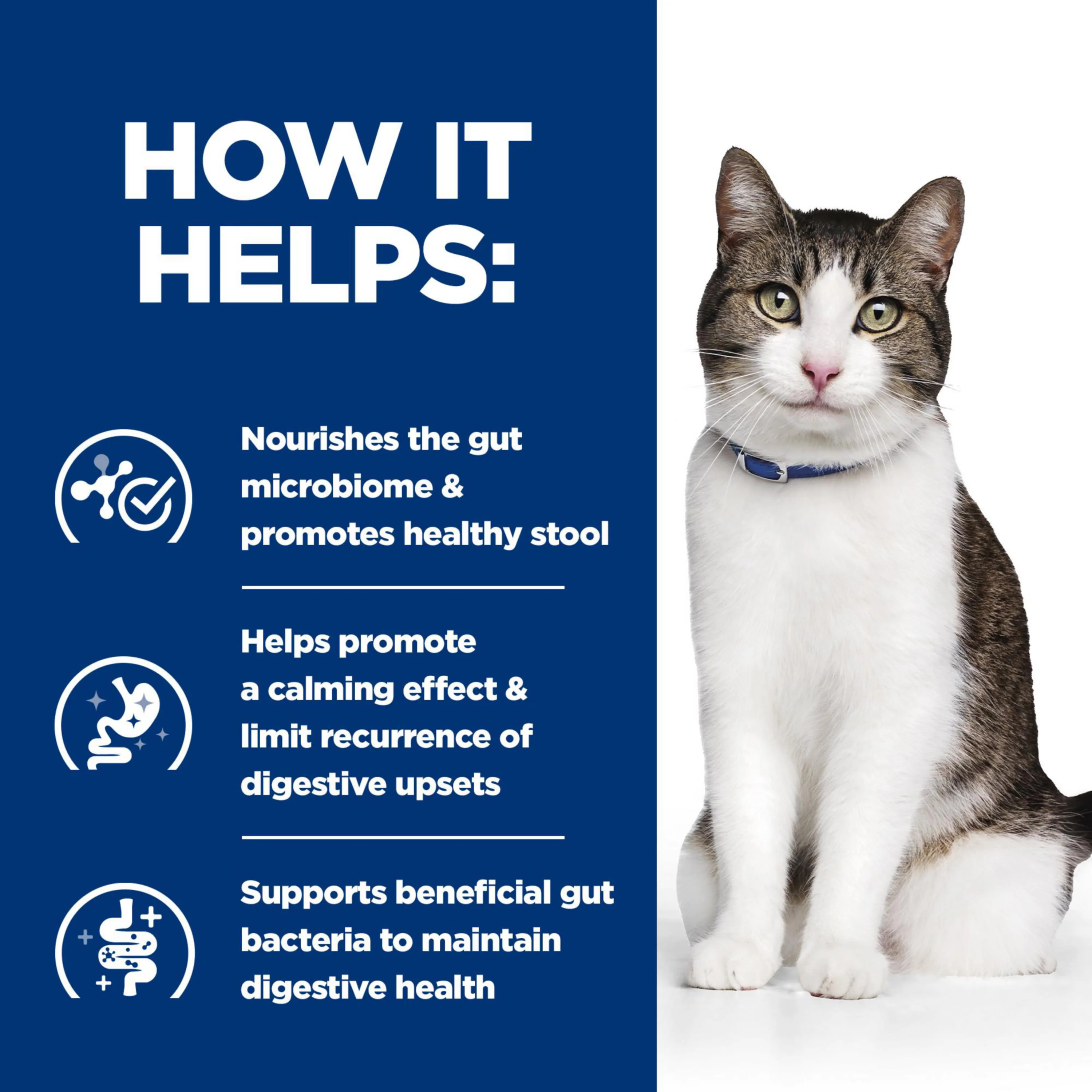 Hill’s Prescription Diet Gastrointestinal Biome Stress Stew with Chicken & Added Vegetables Can Wet Cat Food - Image 4