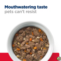 Hill’s Prescription Diet Gastrointestinal Biome Stress Stew with Chicken & Added Vegetables Can Wet Cat Food - Image 8
