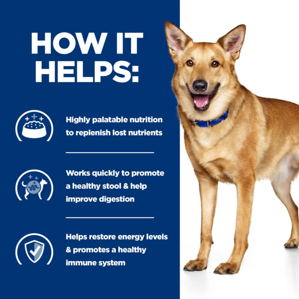 Hill's Prescription Diet i/d Digestive Care Wet Dog Food - Turkey 3 x 360g - Image 5