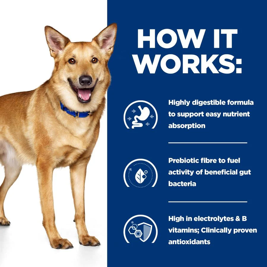 Hill's Prescription Diet i/d Digestive Care Wet Dog Food with Chicken 12 x 354g - Image 5