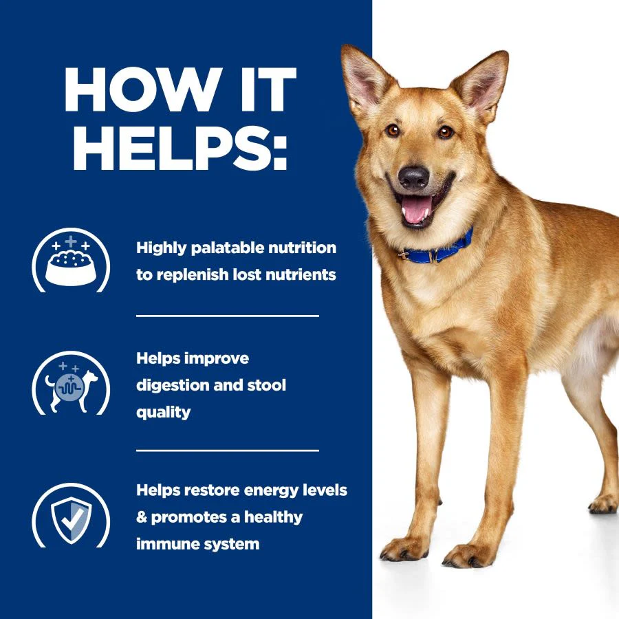 Hill's Prescription Diet i/d Digestive Care Wet Dog Food with Chicken 12 x 354g - Image 6
