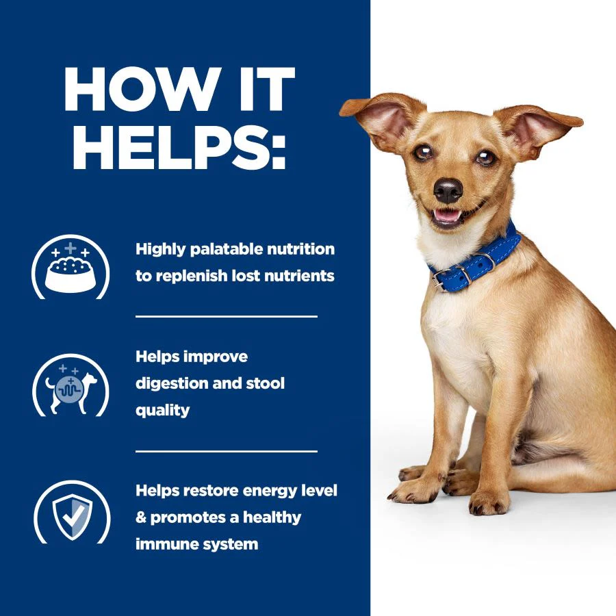 Hill's Prescription Diet i/d Digestive Care Wet Dog Food with Chicken 24 x 156g - Image 5