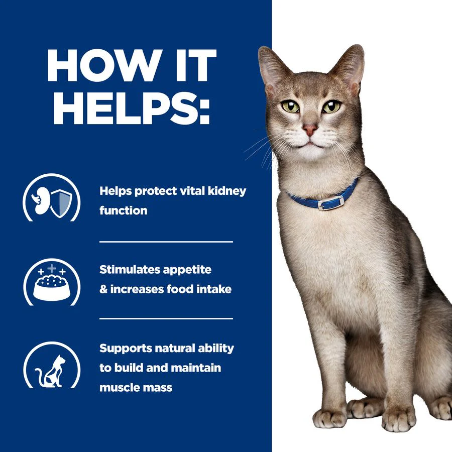 Hill's Prescription Diet k/d Kidney Care Wet Cat Food - Beef - Image 5