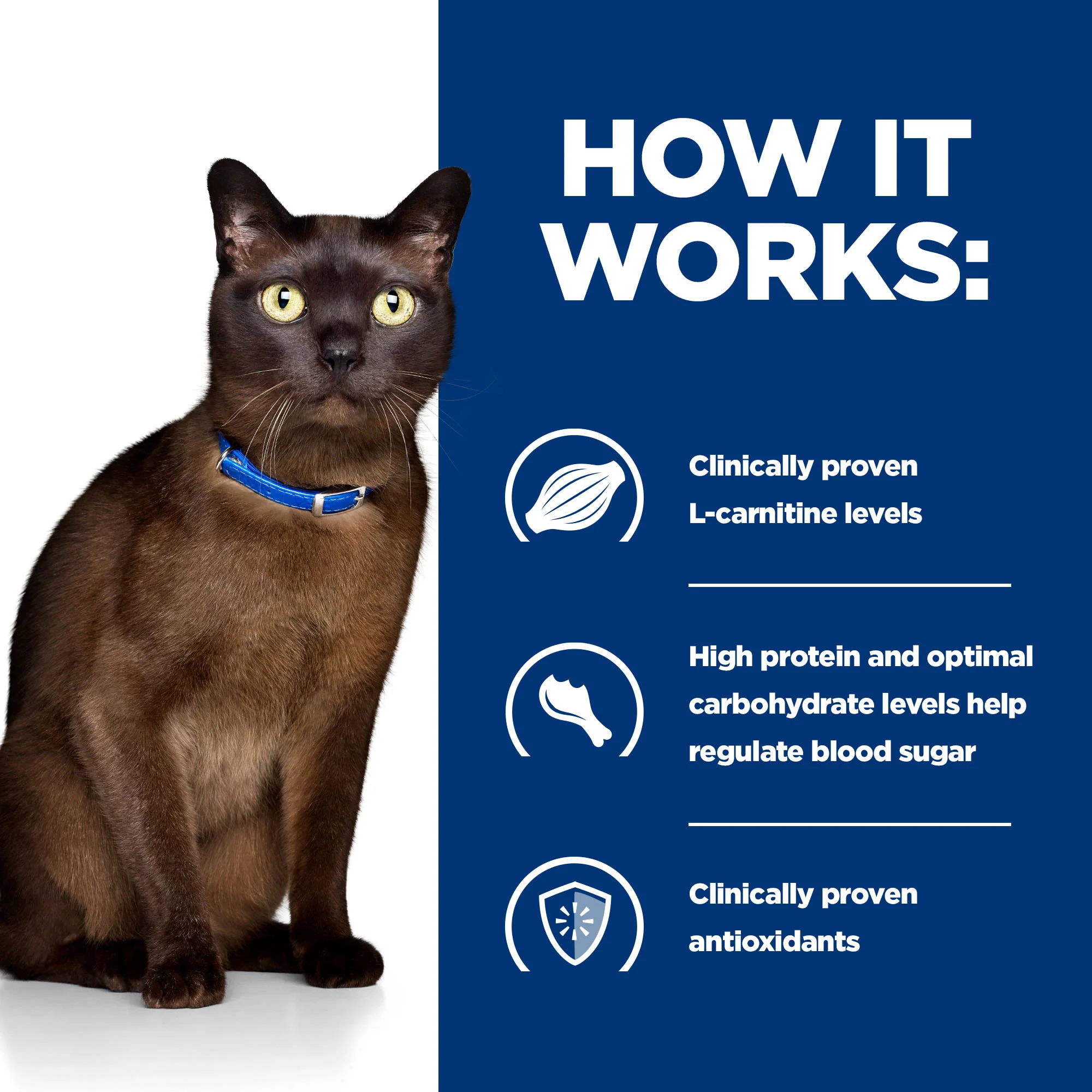 Hill's Prescription Diet m/d Diabetes Care Wet Cat Food - Chicken - Image 5