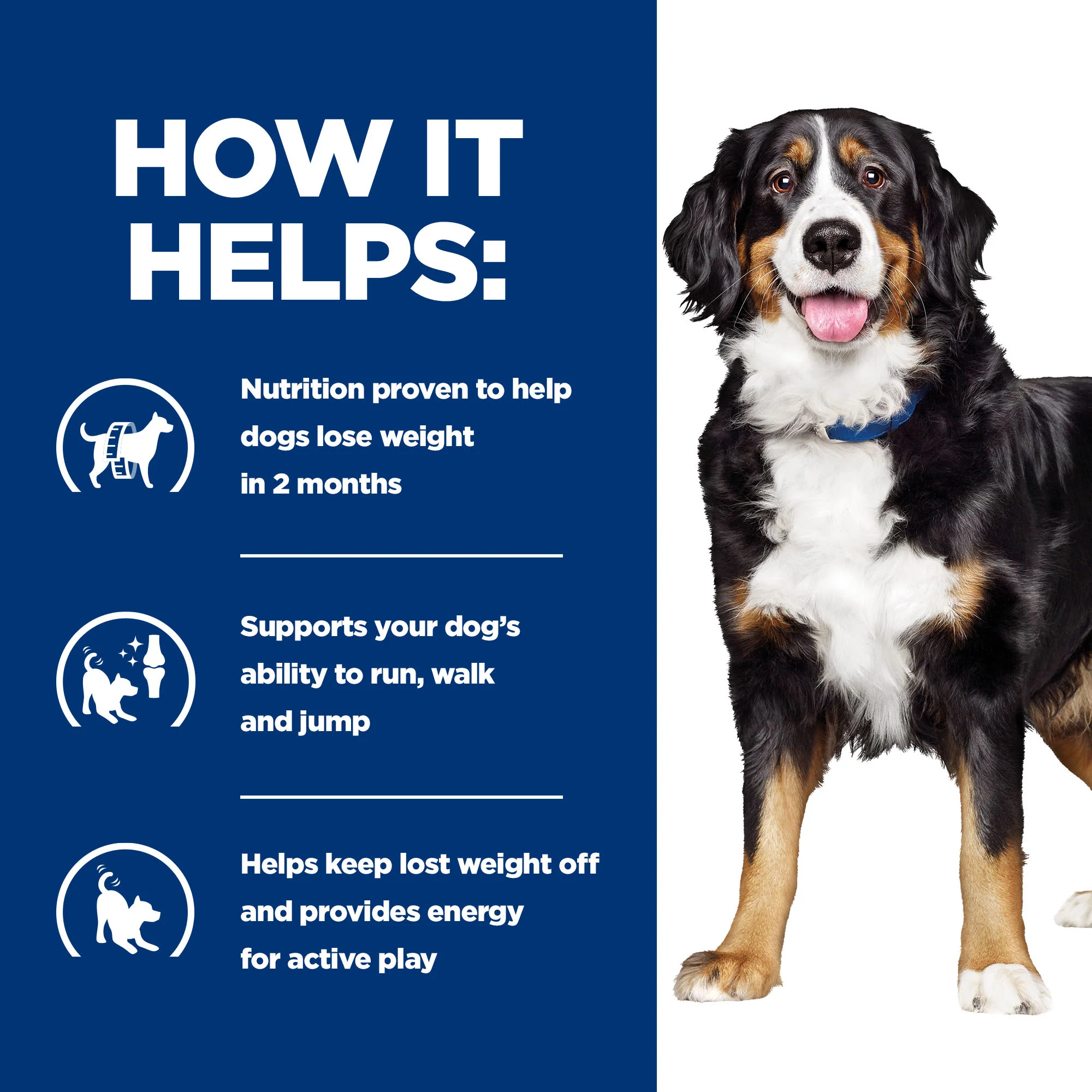 Hill's Prescription Diet Metabolic + Mobility Weight Management Wet Dog Food - Original - Image 4