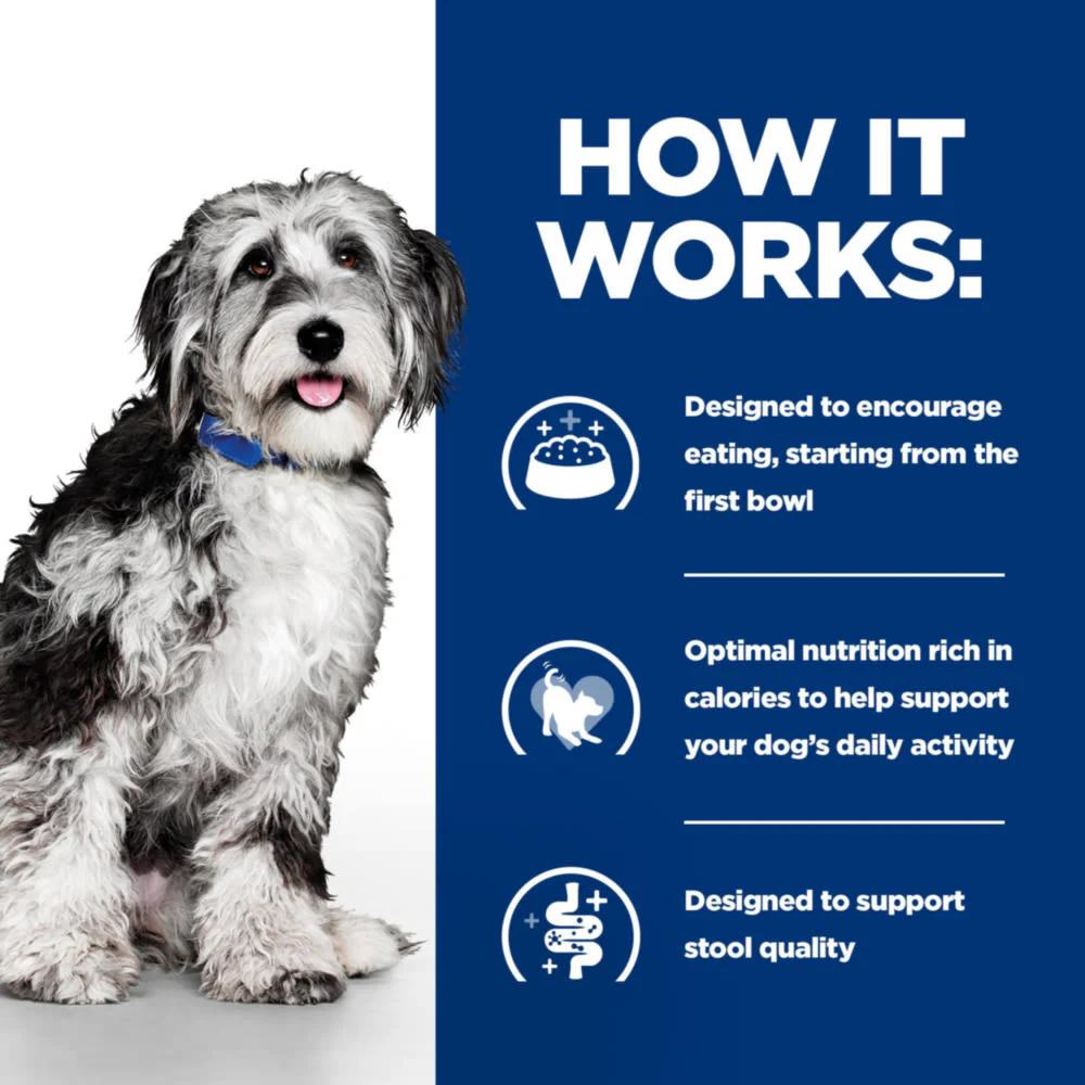 Hill's Prescription Diet On-Care Stew for Dogs with Chicken & Vegetables Wet Dog Food - Image 4