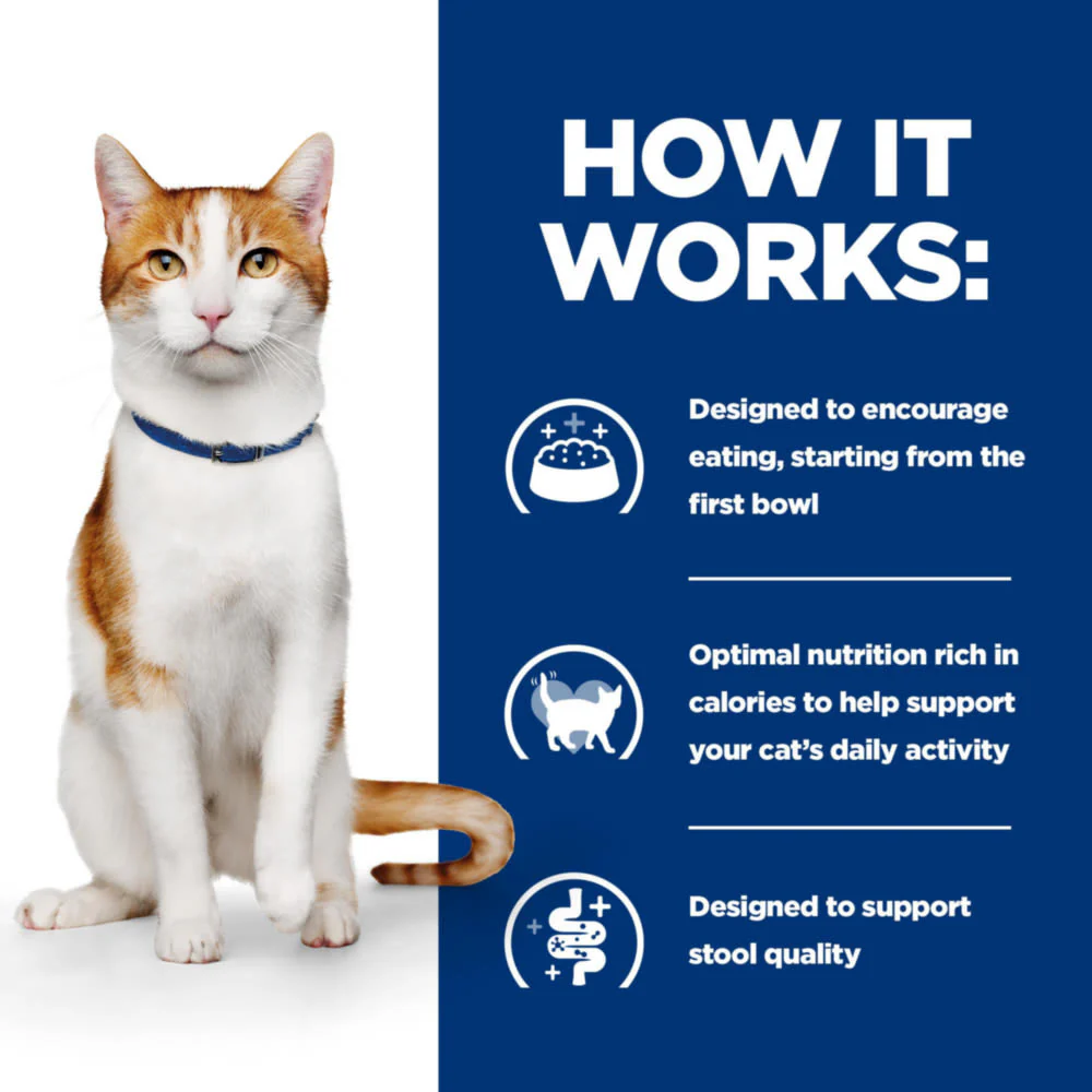 Hill's Prescription Diet On-Care with Chicken Dry Cat Food - Image 3