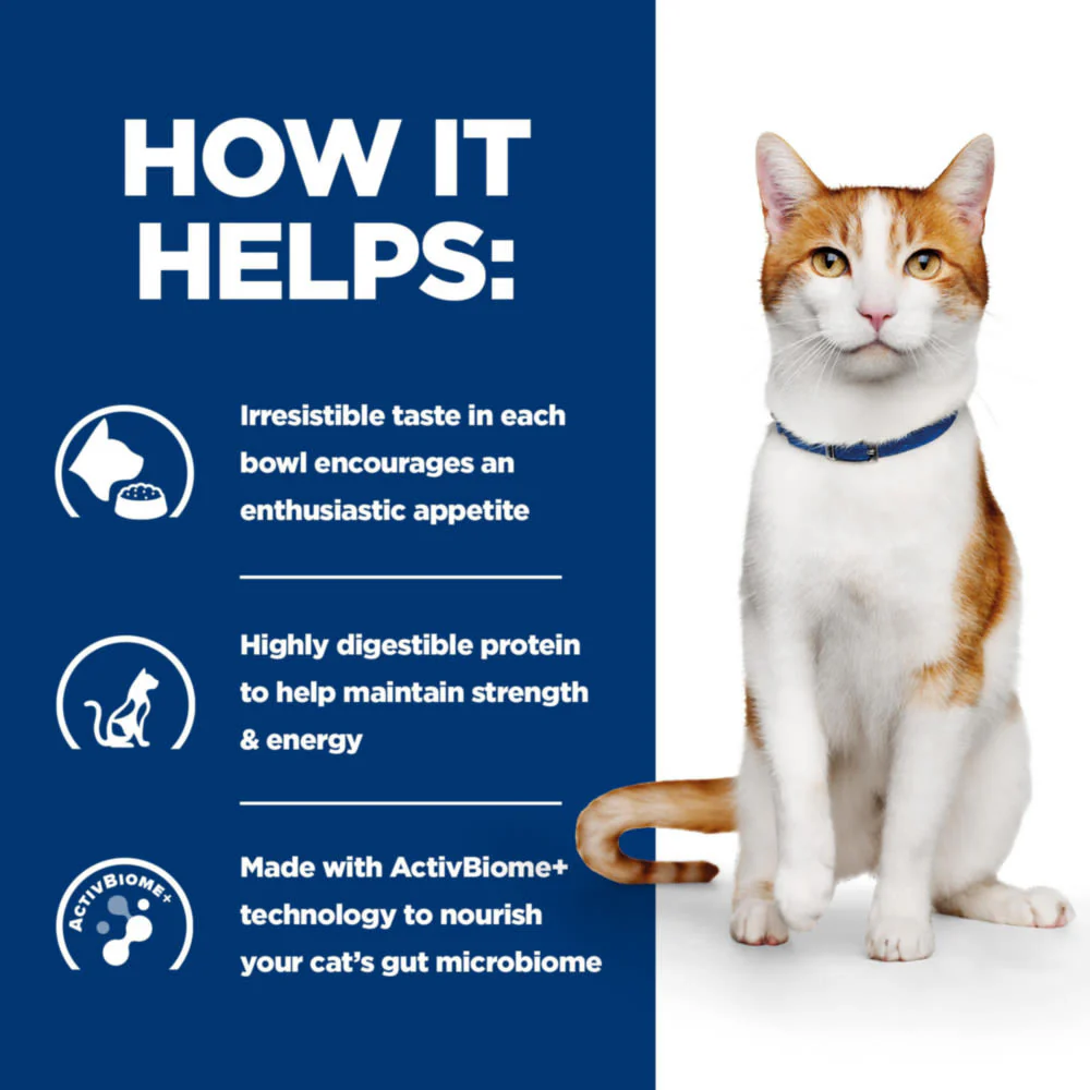Hill's Prescription Diet On-Care with Chicken Dry Cat Food - Image 4
