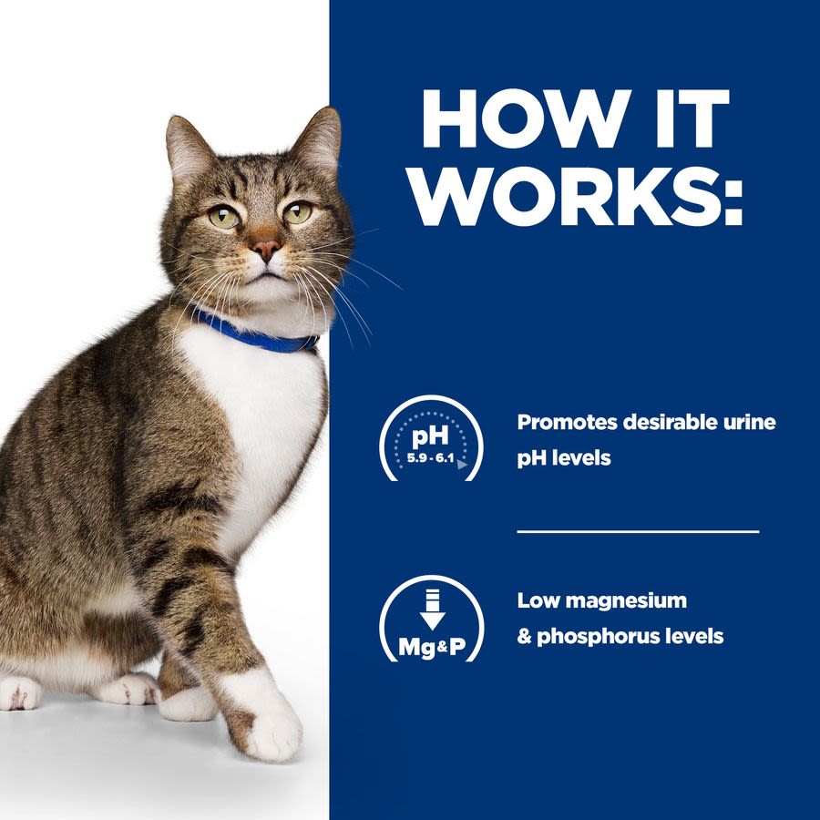Hill's Prescription Diet s/d Urinary Care Dry Cat Food with Chicken - Image 6