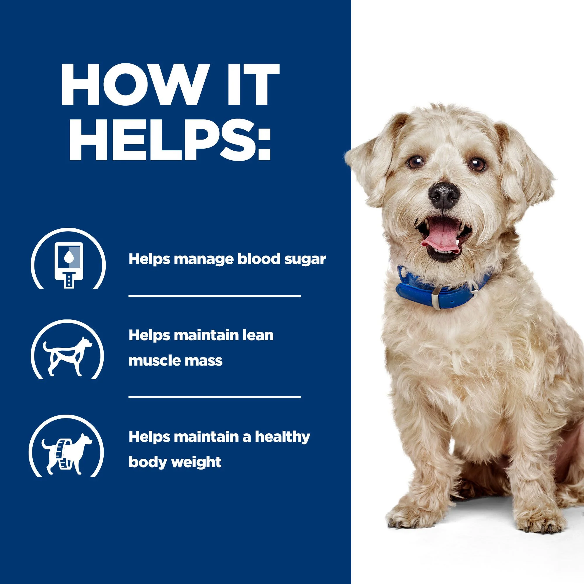 Hill's Prescription Diet w/d Diabetes Care Dry Dog Food with Chicken - Image 4