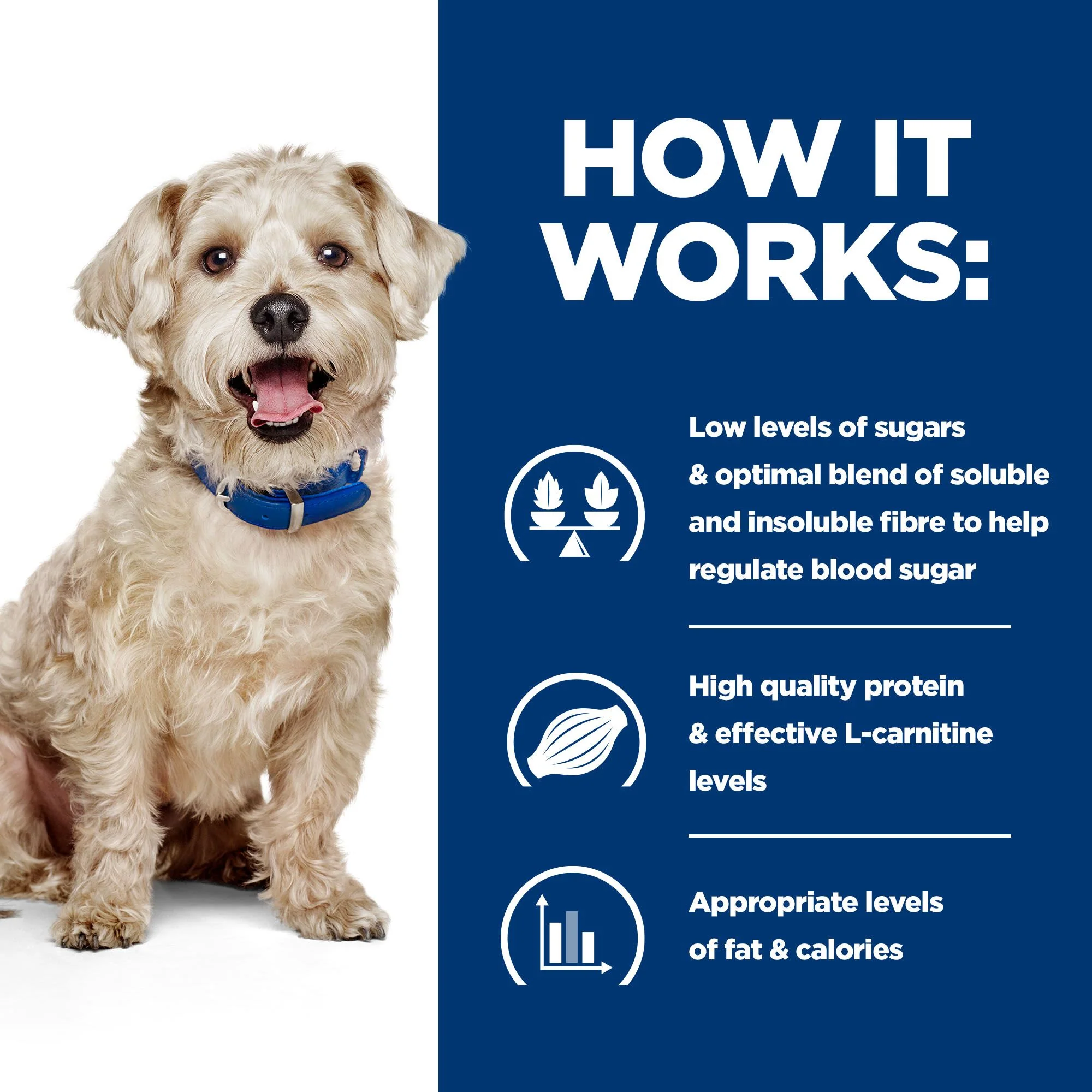 Hill's Prescription Diet w/d Diabetes Care Dry Dog Food with Chicken - Image 5