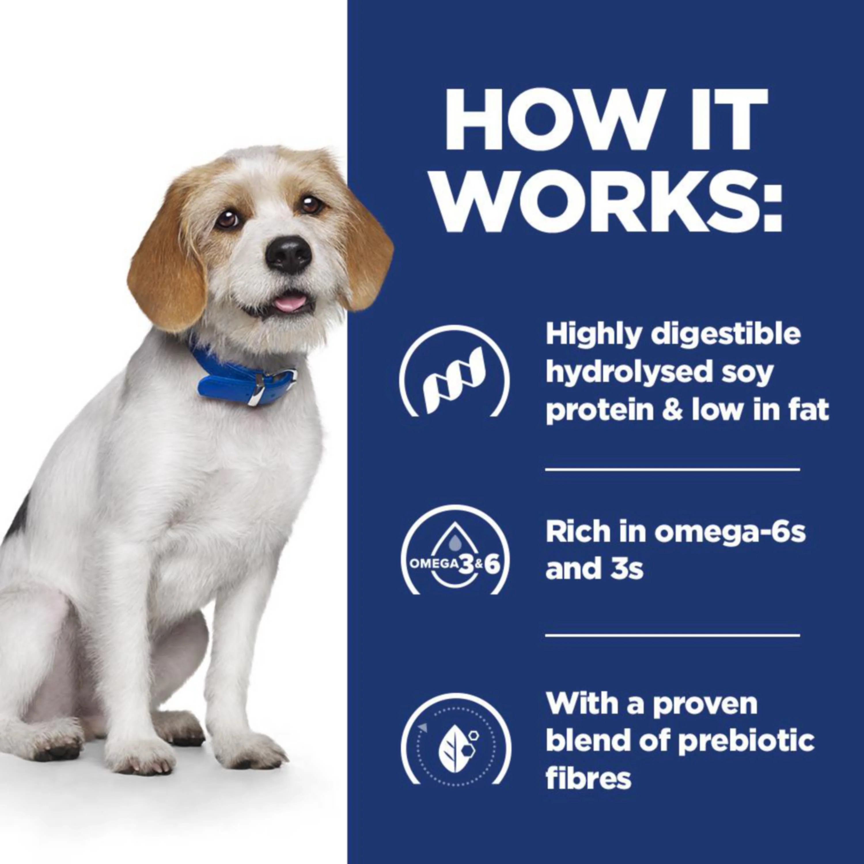 Hill's Prescription Diet z/d Low Fat Hydrolysed Soy Recipe Food Sensitivities Dry Dog Food - Image 3