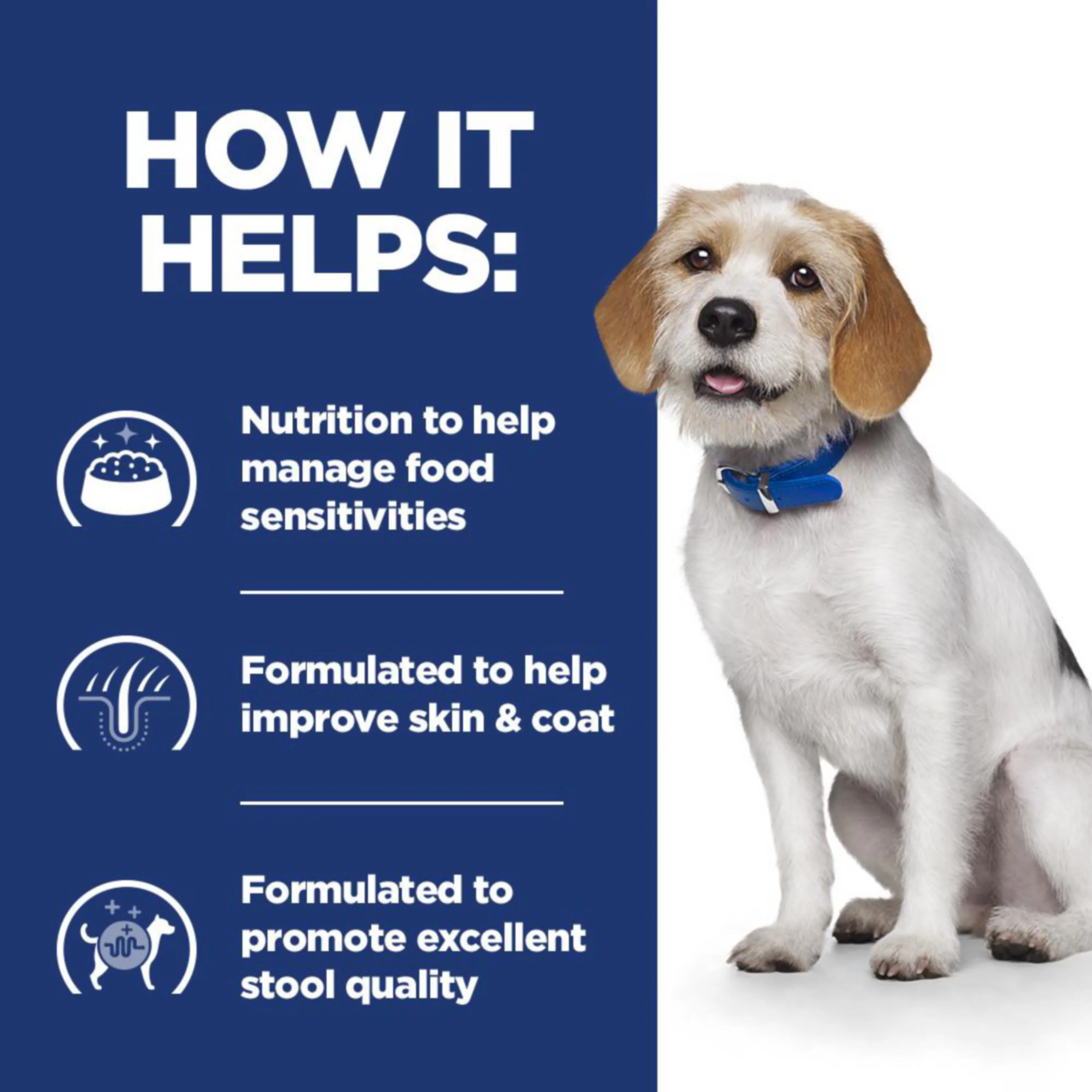 Hill's Prescription Diet z/d Low Fat Hydrolysed Soy Recipe Food Sensitivities Dry Dog Food - Image 4