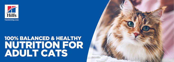 Hill's Science Plan Adult 1-6 Dry Cat Food - Chicken - Image 10