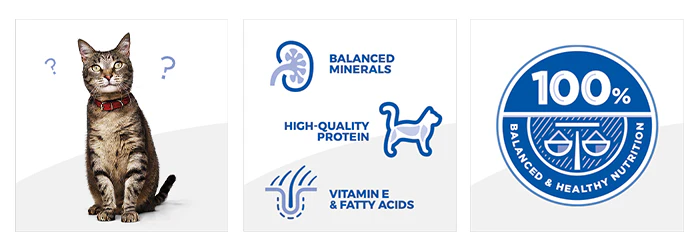 Hill's Science Plan Adult 1-6 Dry Cat Food - Chicken - Image 11