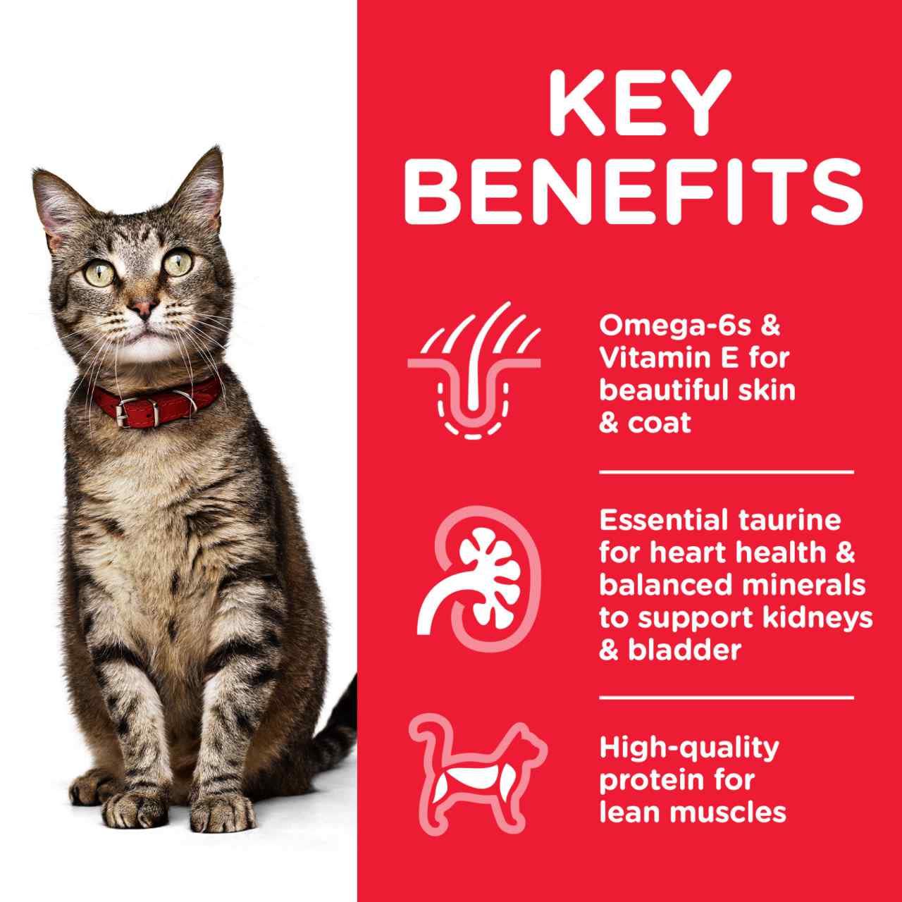 Hill's Science Plan Adult 1-6 Dry Cat Food - Chicken - Image 3