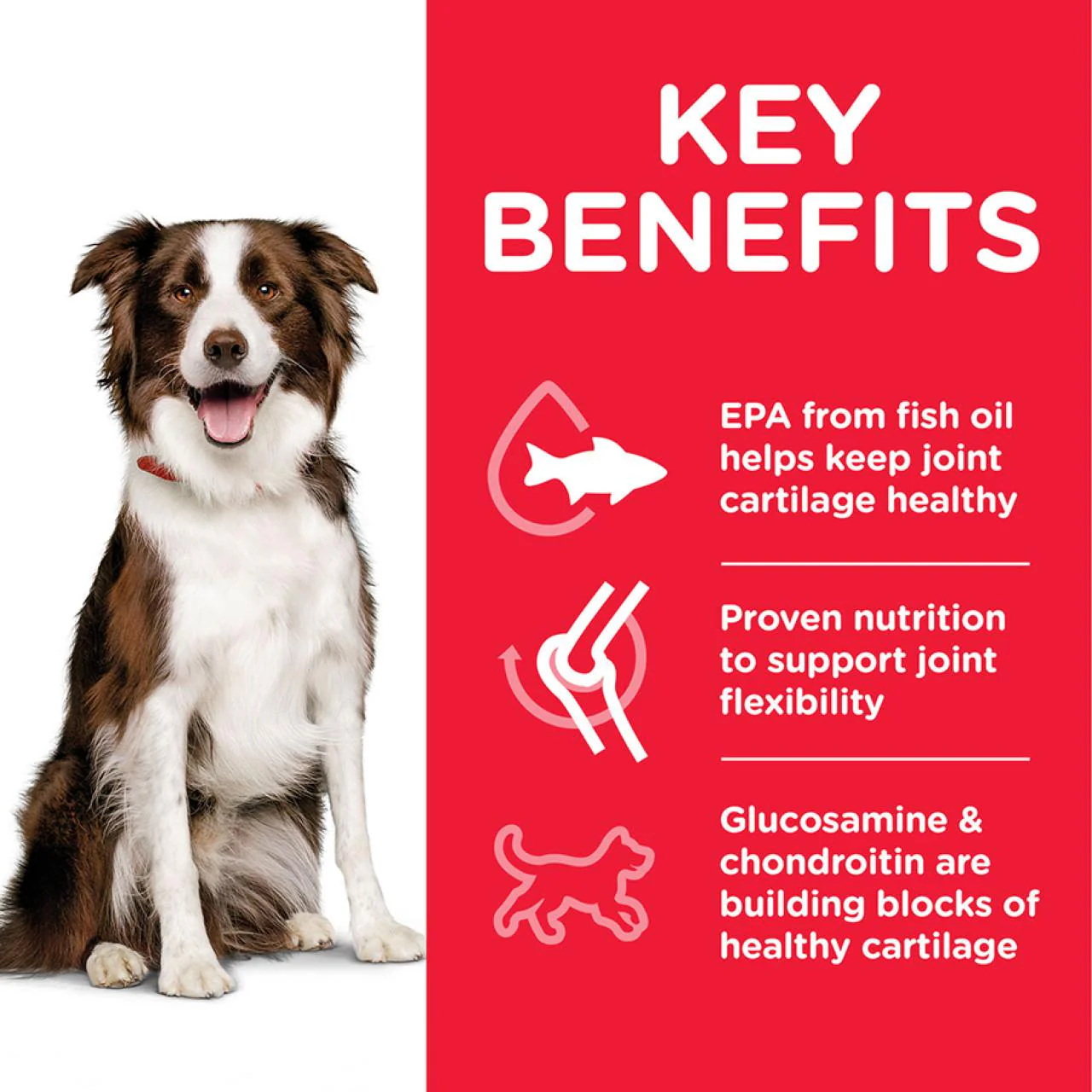 Hill's Science Plan Adult Healthy Mobility Medium Chicken Dry Dog Food - Image 3