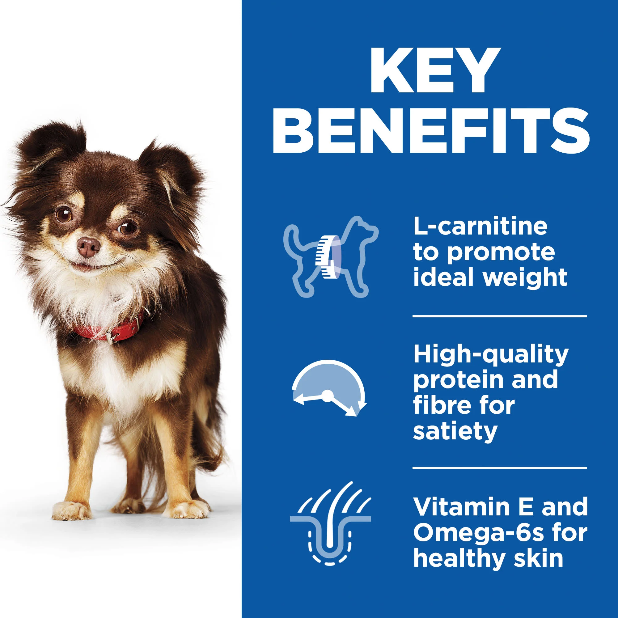 Hill's Science Plan Adult Light Small & Mini Adult Dry Dog Food - Chicken - Image 3
