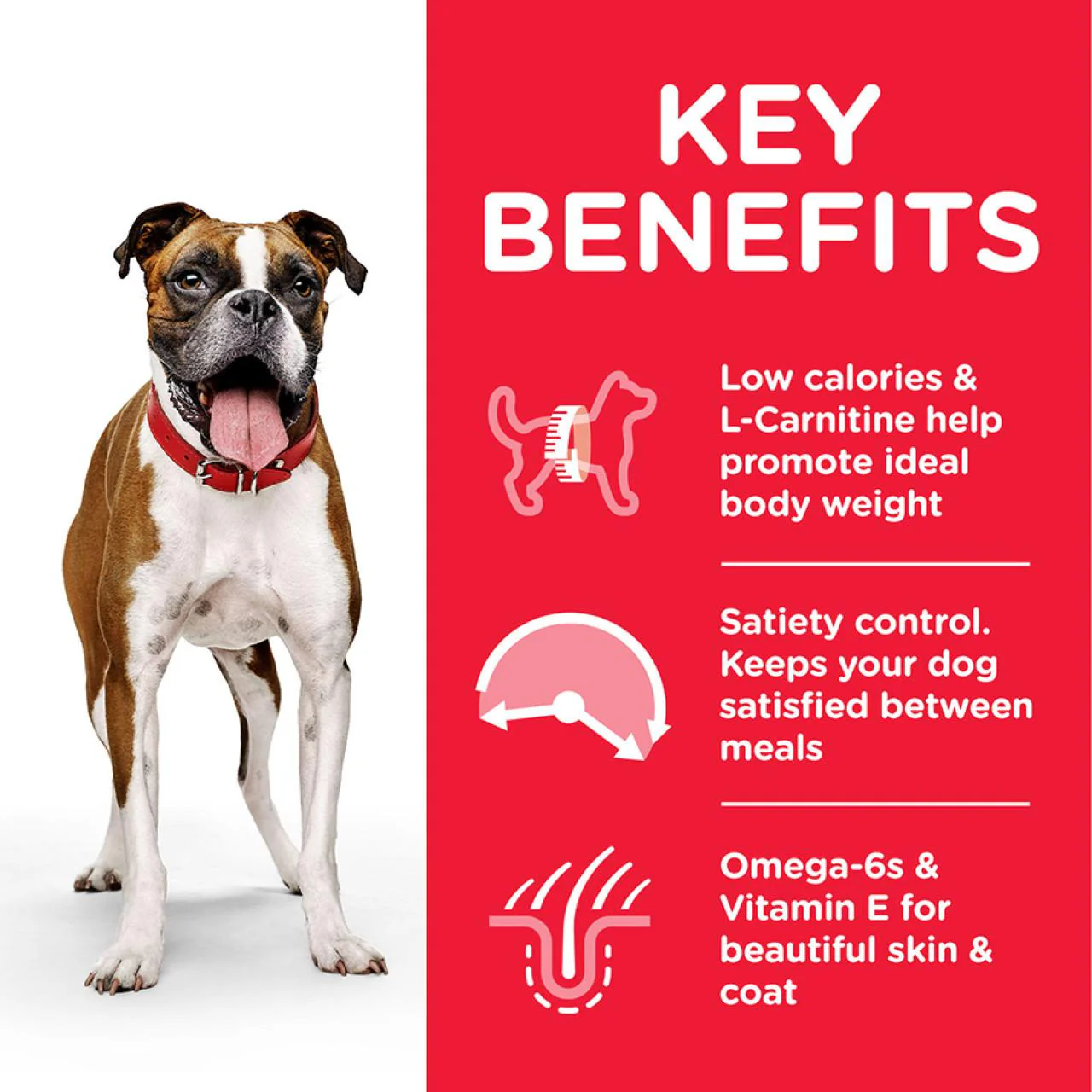 Hill's Science Plan Adult Medium Chicken Light Dry Dog Food - Image 3