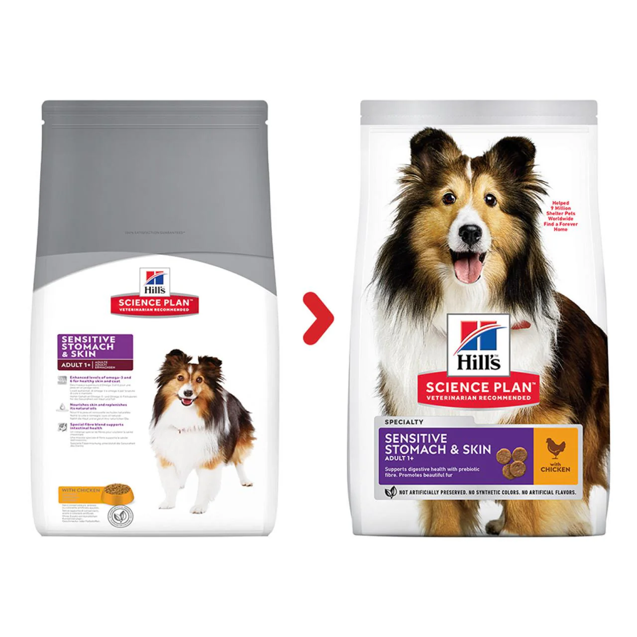 Hill's Science Plan Adult Medium Sensitive Stomach & Skin Chicken Dog Food - Image 2
