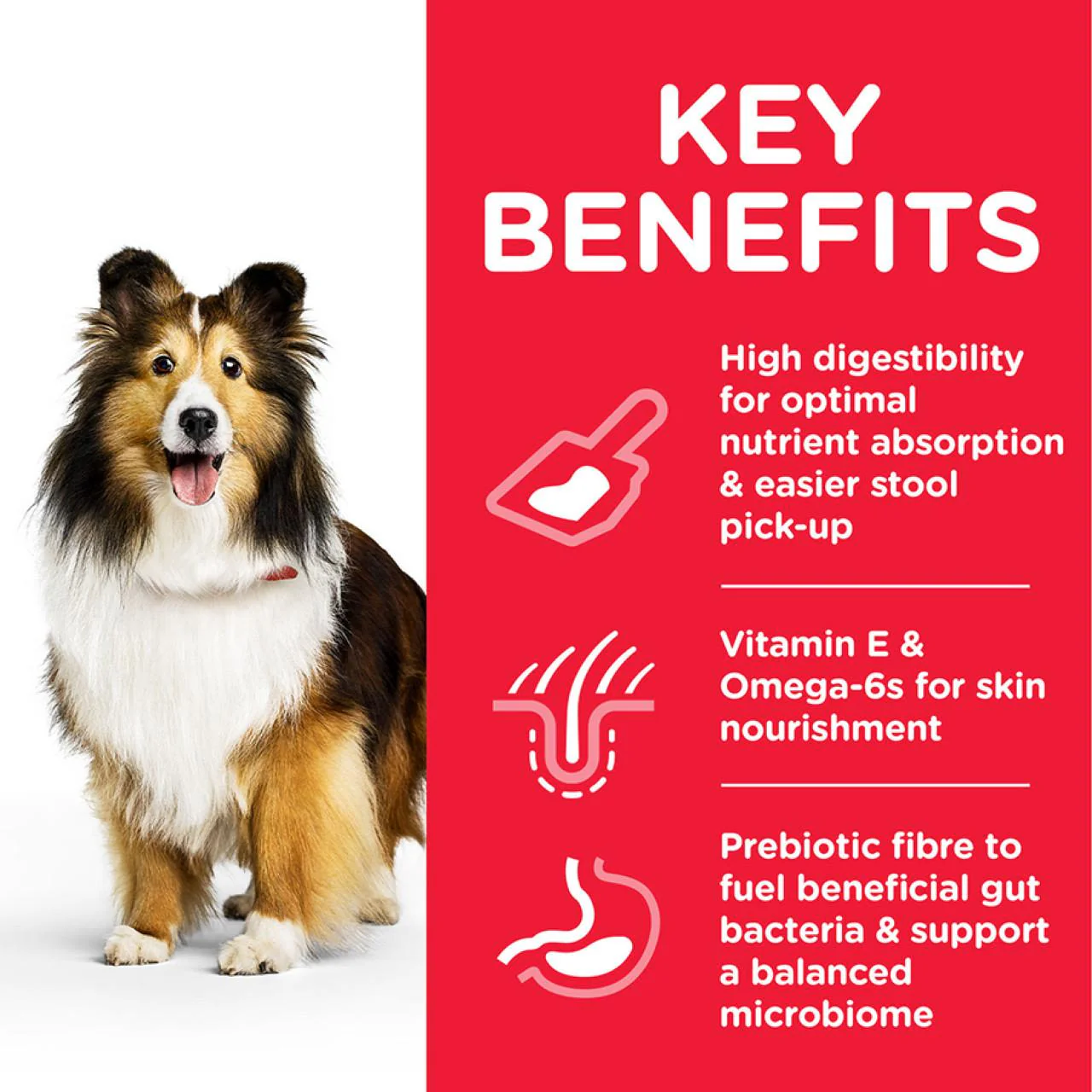 Hill's Science Plan Adult Medium Sensitive Stomach & Skin Chicken Dog Food - Image 3