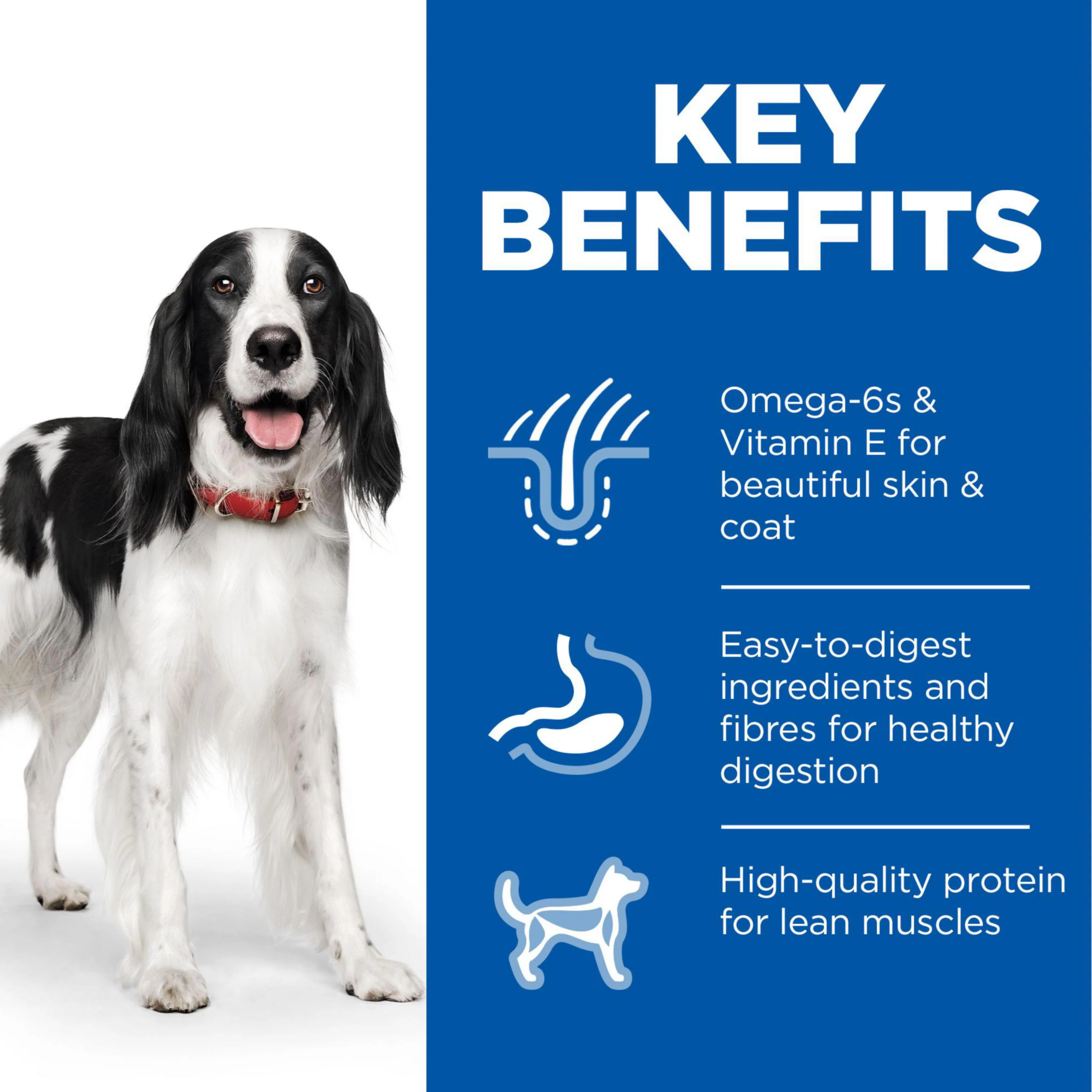Hill's Science Plan Adult Wet Dog Food with Chicken, Turkey and Beef - Image 7