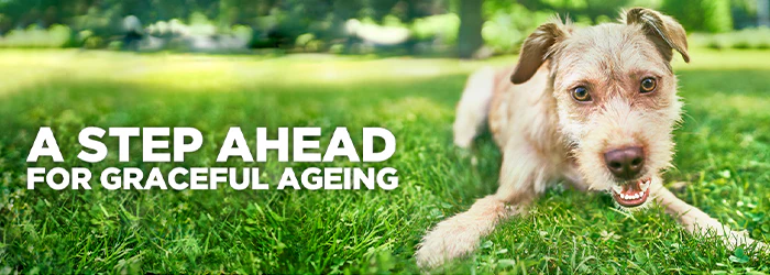 Hill`s Science Plan Canine 7+ Youthful Vitality Medium - Image 2