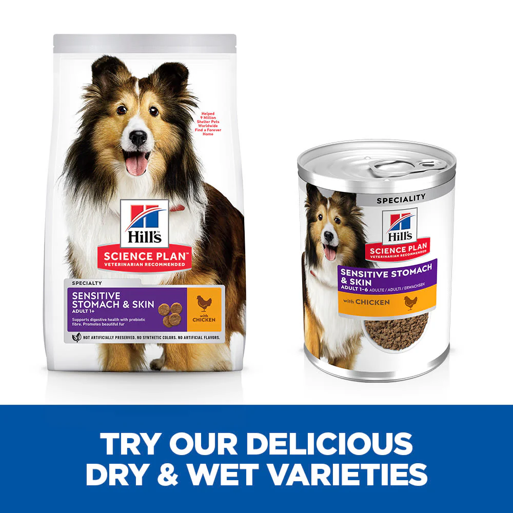 Hill's Science Plan Canine Adult Sensitive Stomach & Skin with Chicken Can Wet Dog Food - Image 4